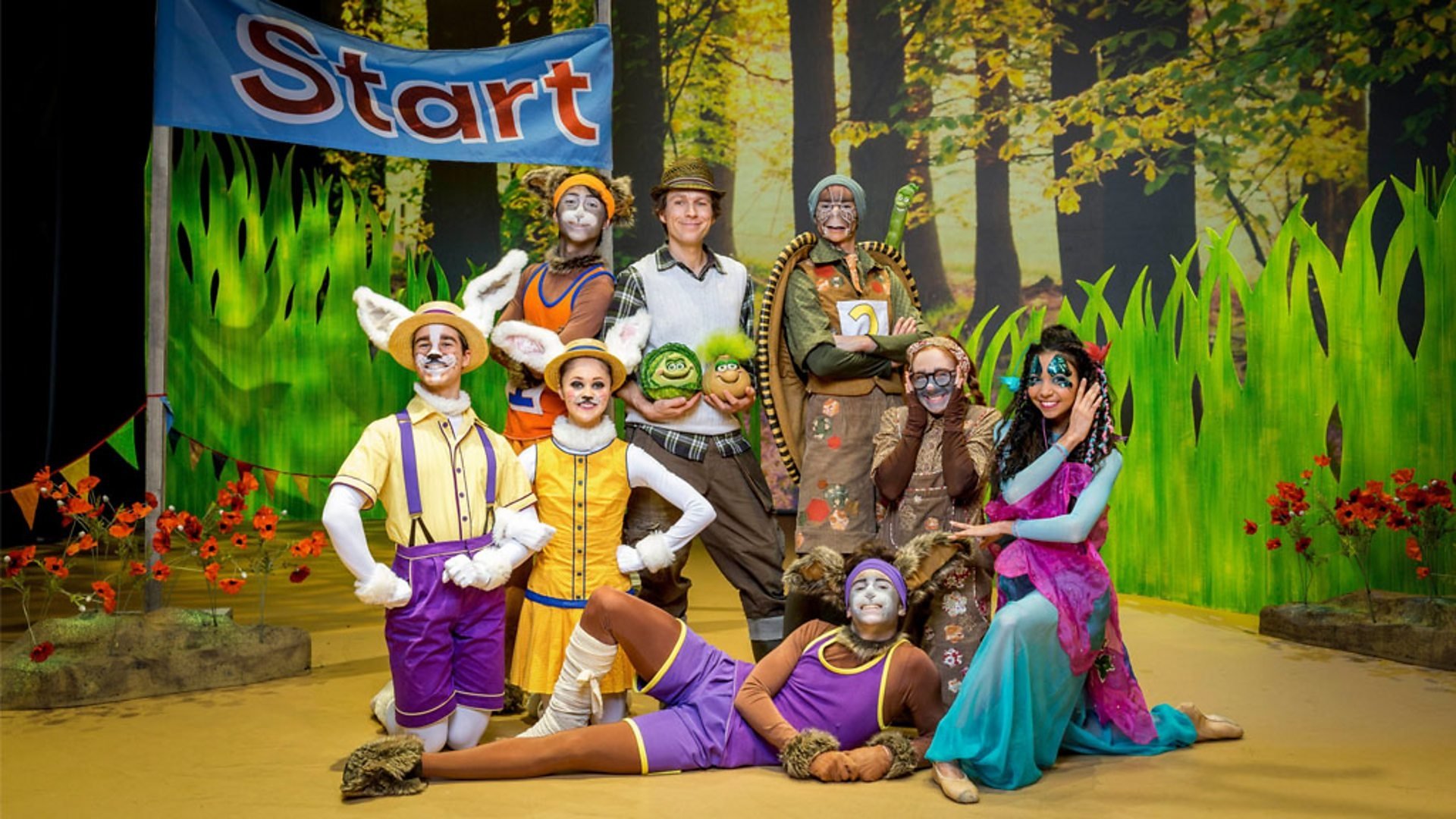 Backdrop for CBeebies Presents: The Tortoise and the Hare - A CBeebies Ballet