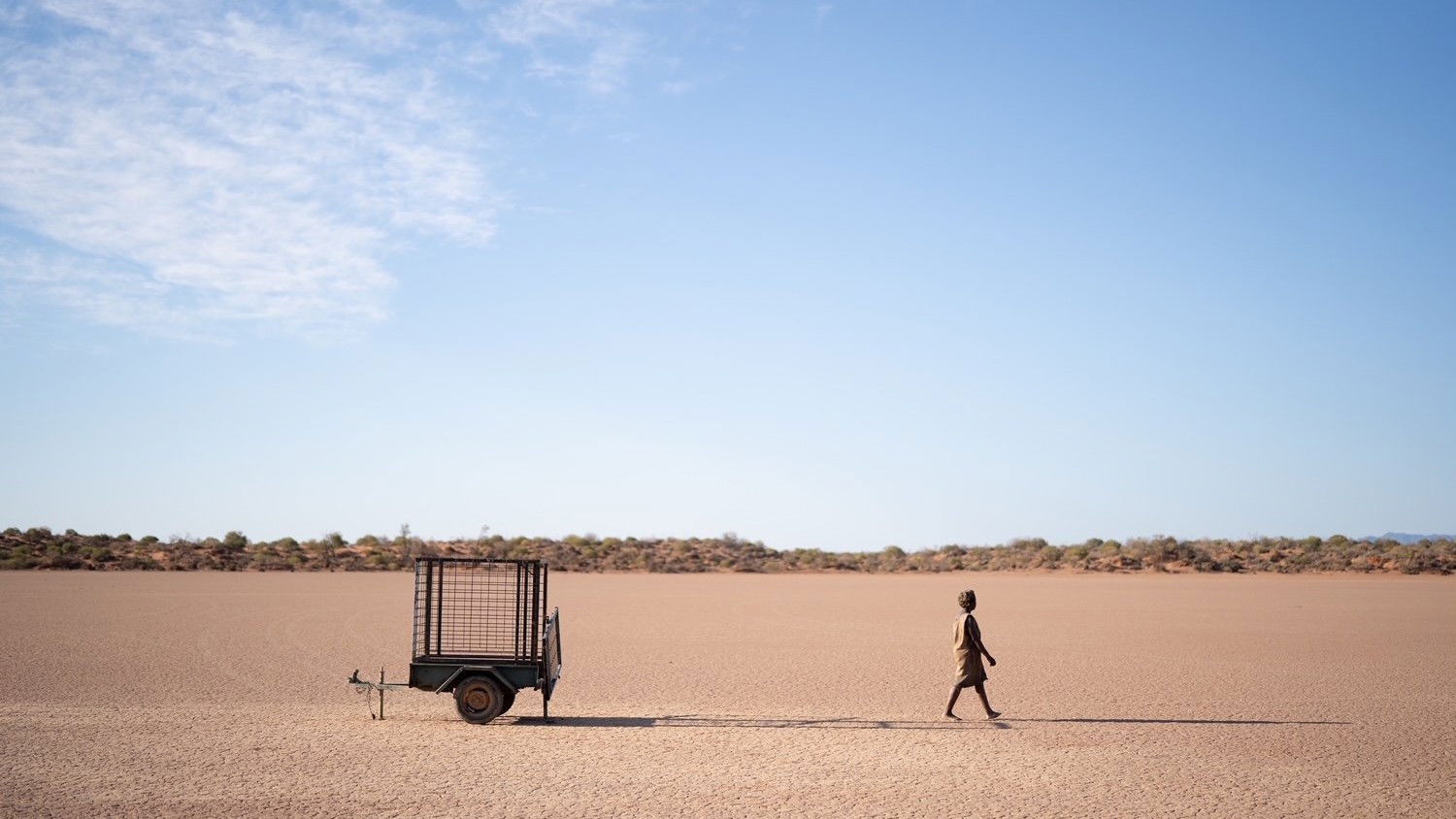 Backdrop for The Survival of Kindness