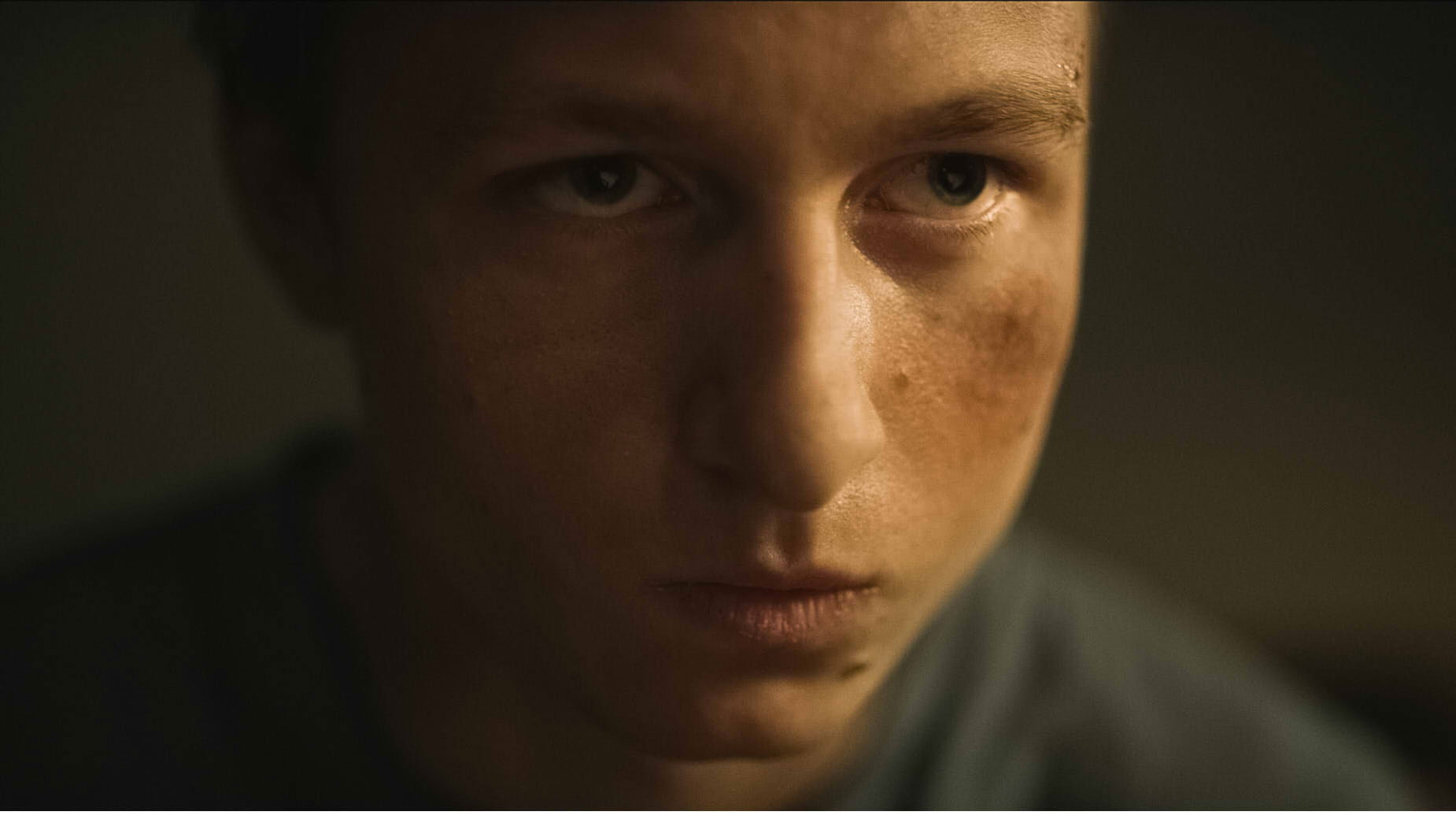 Backdrop for Boys With Butterflies