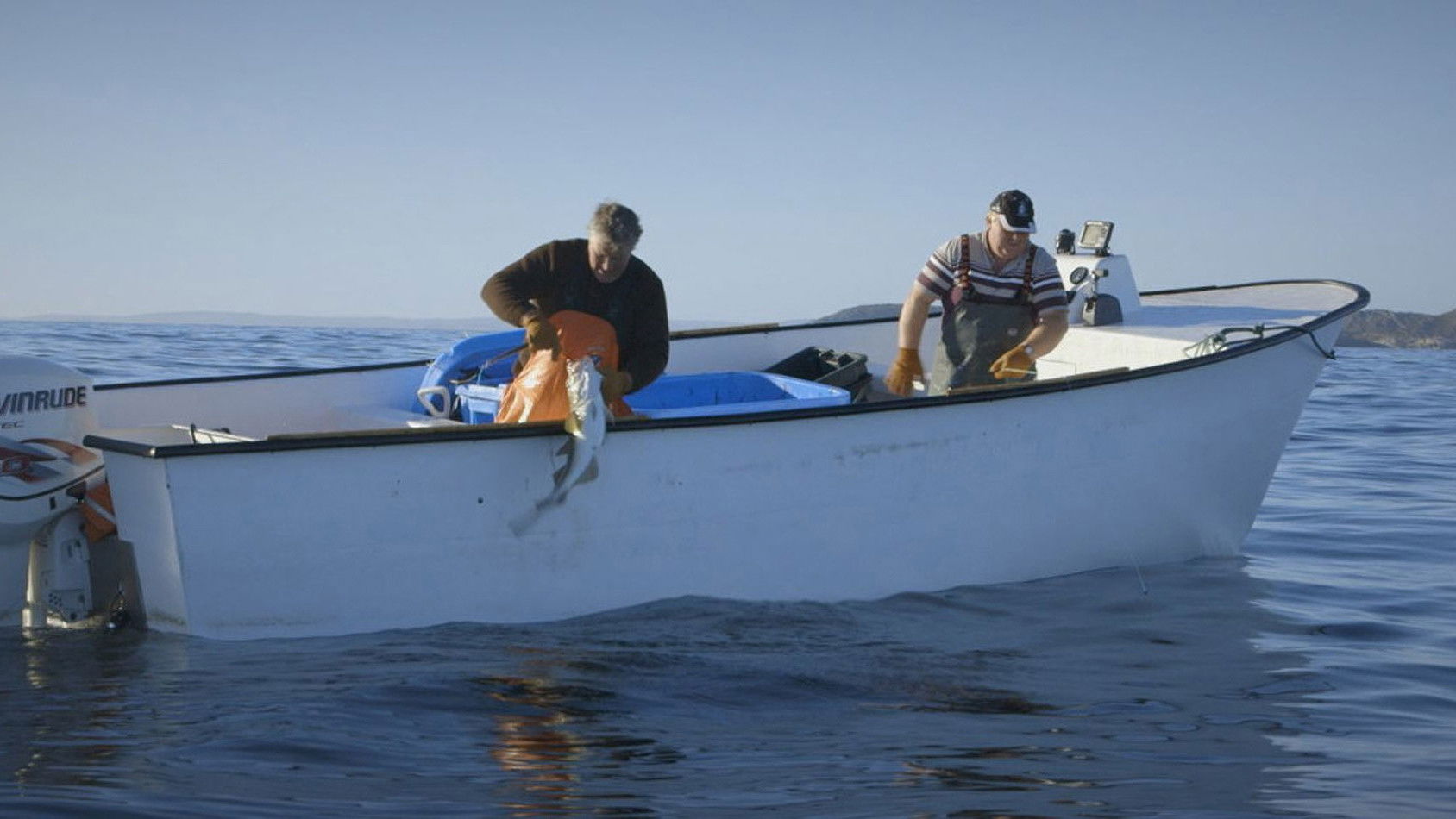 Backdrop for HAND. LINE. COD.