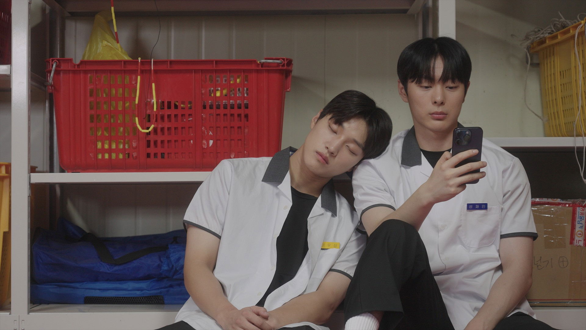 Backdrop for My Idol