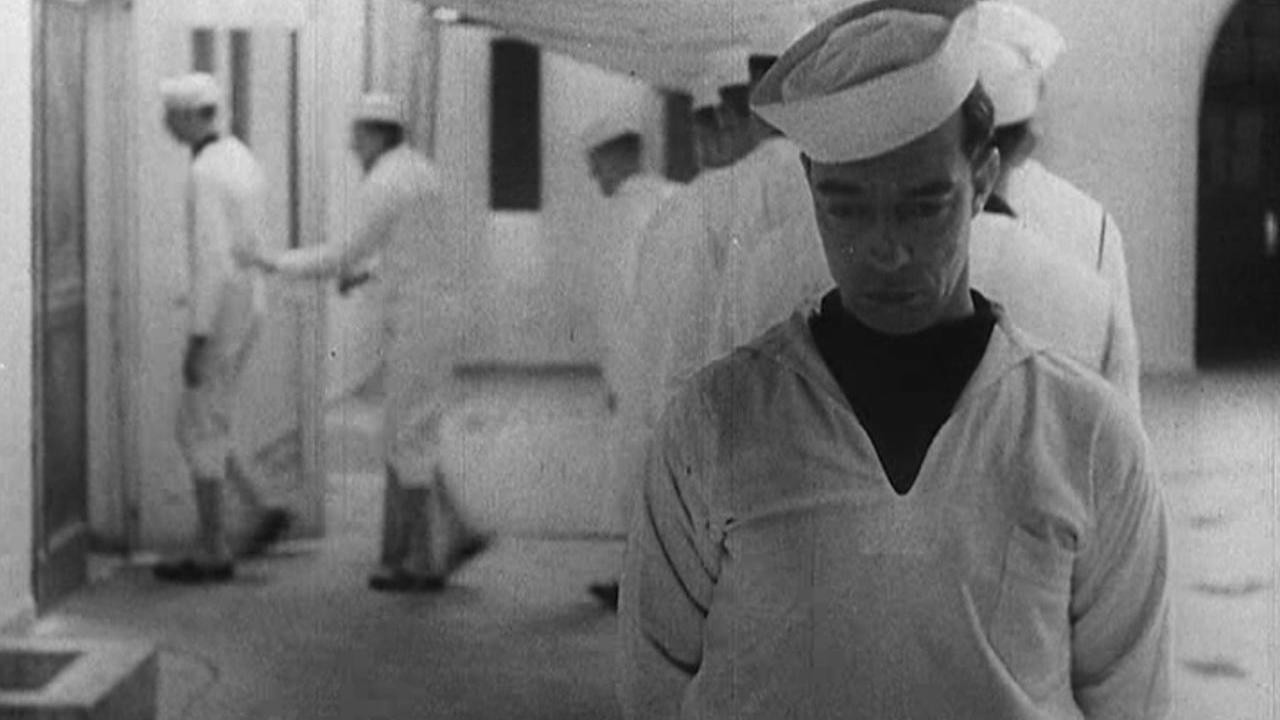 Backdrop for Tars and Stripes