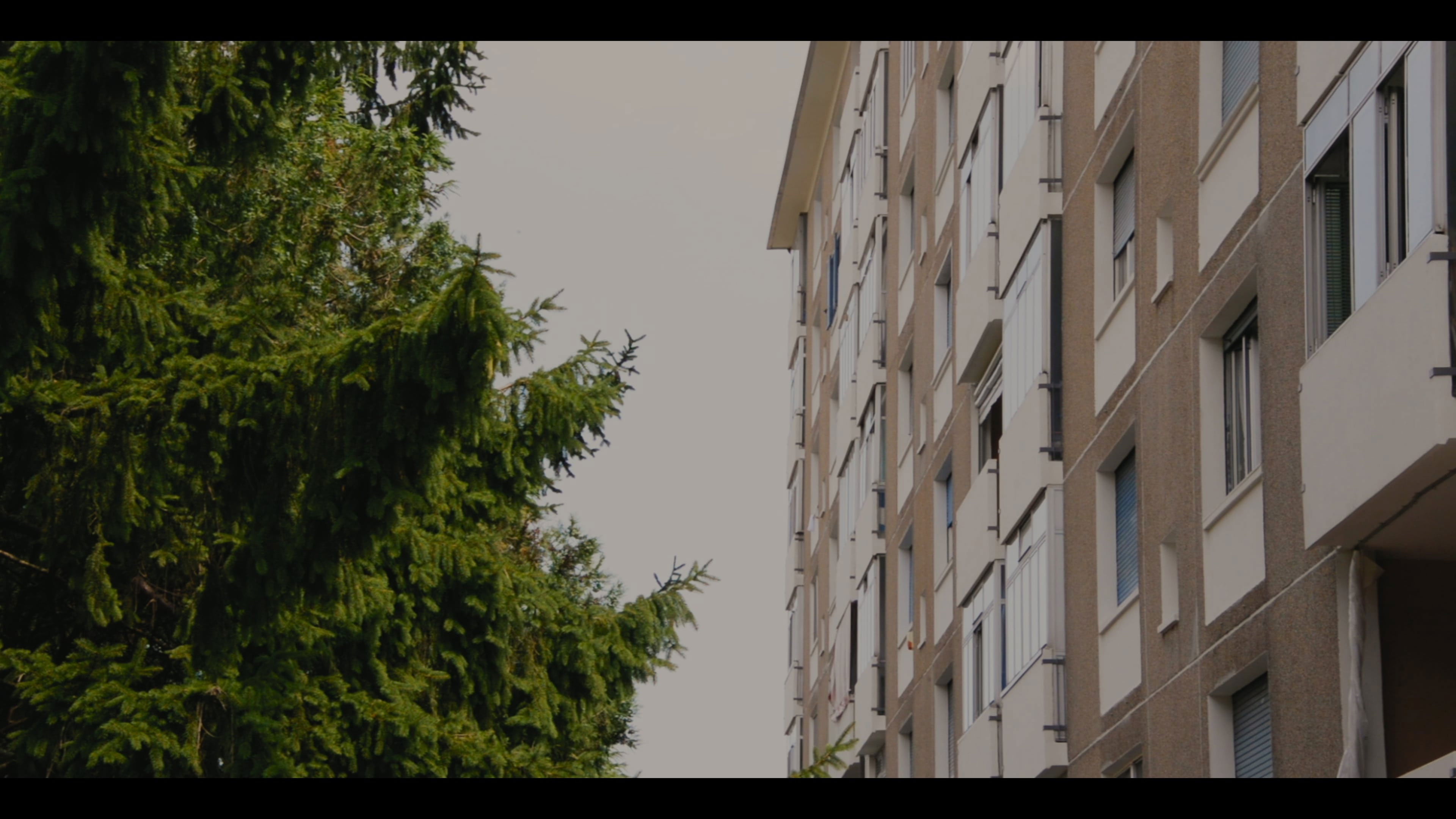 Backdrop for Mira-futuro