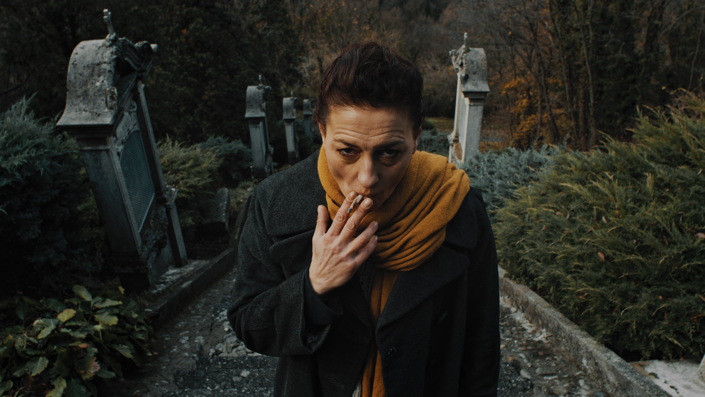 Backdrop for The Grand Bolero