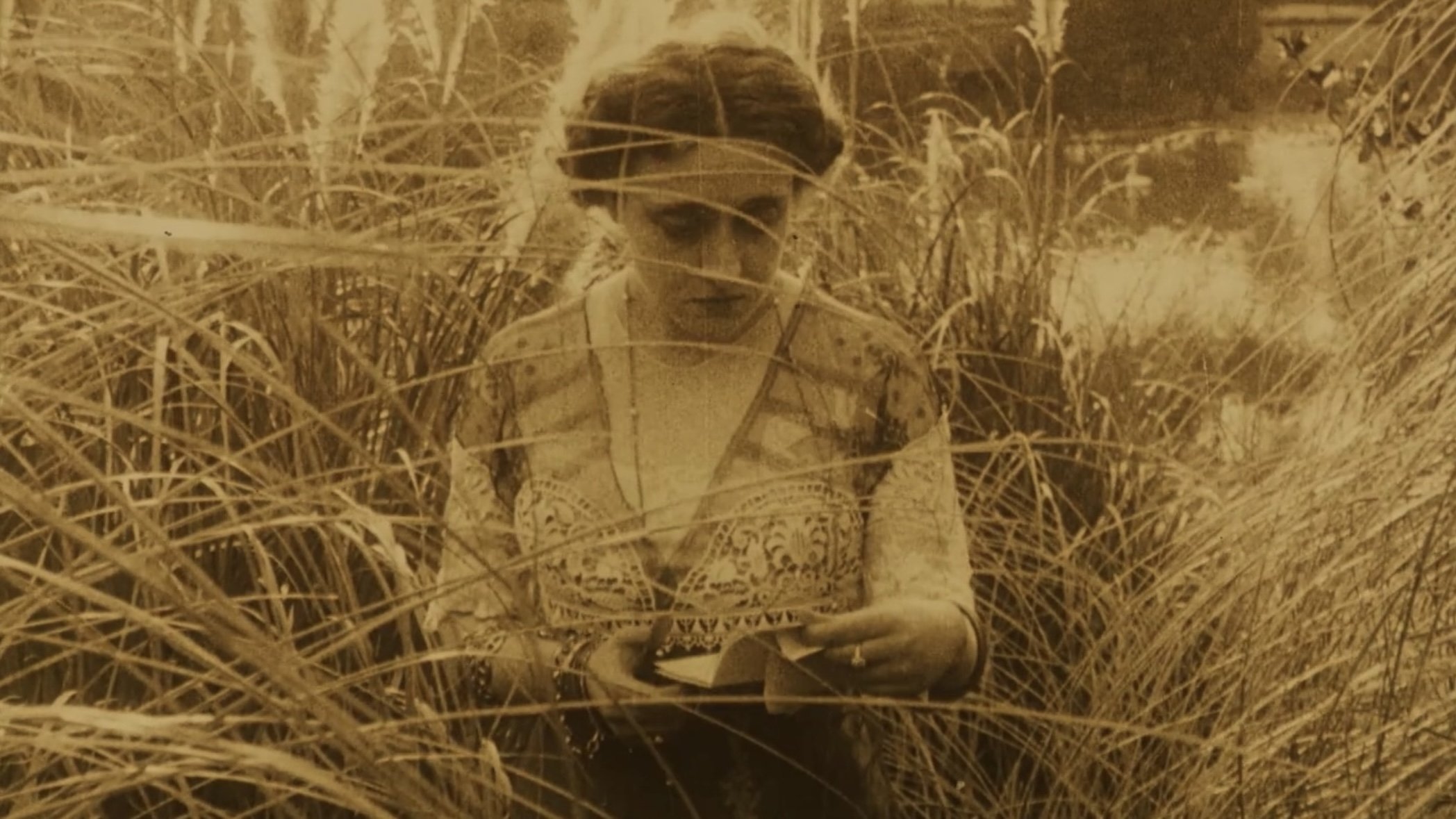 Backdrop for Flower of Evil