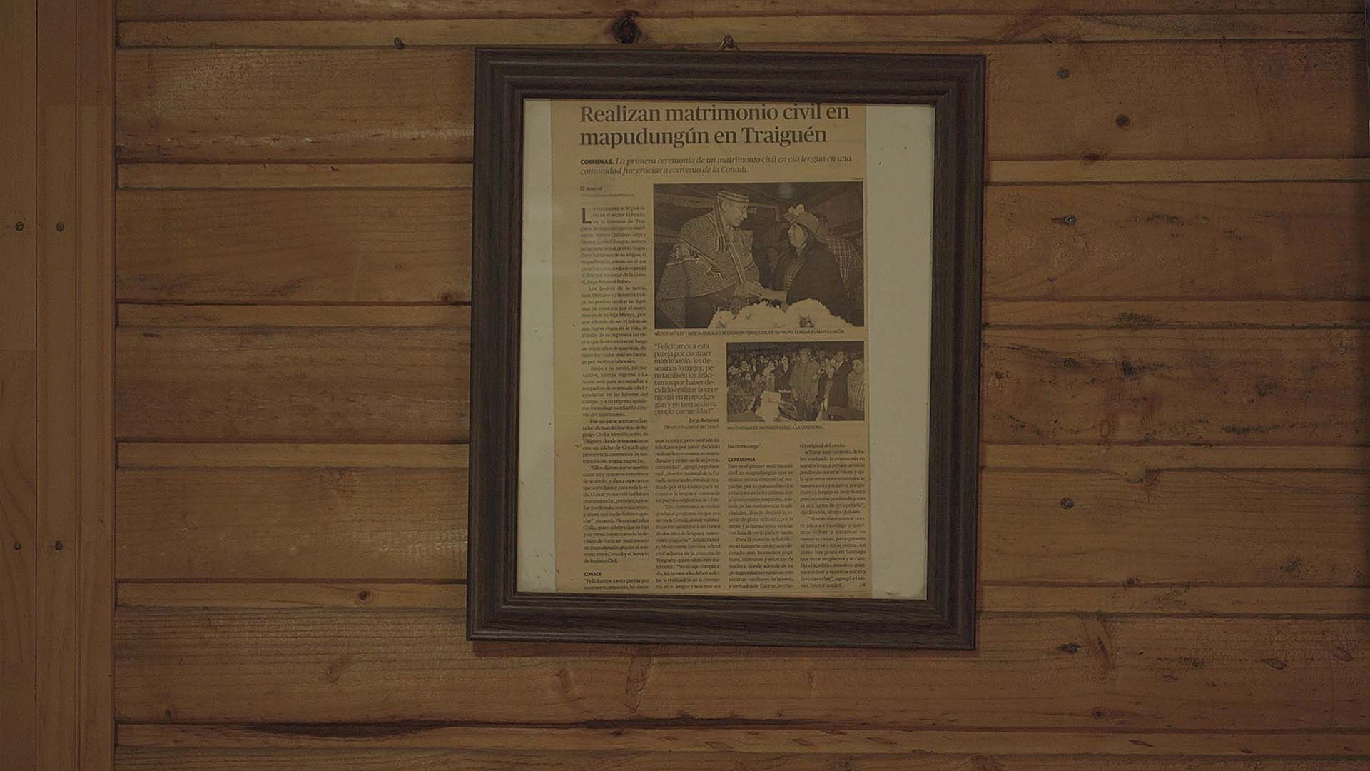 Backdrop for Winter Portrait