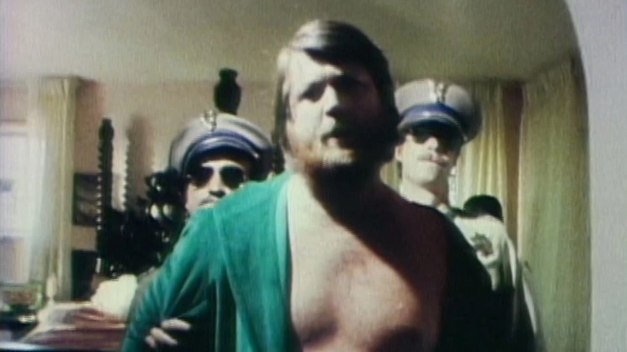 Backdrop for The Beach Boys: It's OK