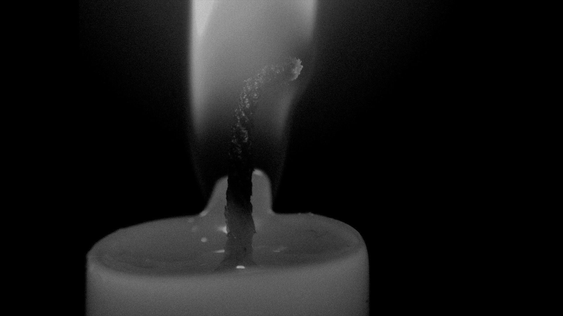 Backdrop for Reverie