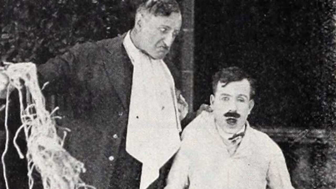 Backdrop for Hoffmeyer's Legacy