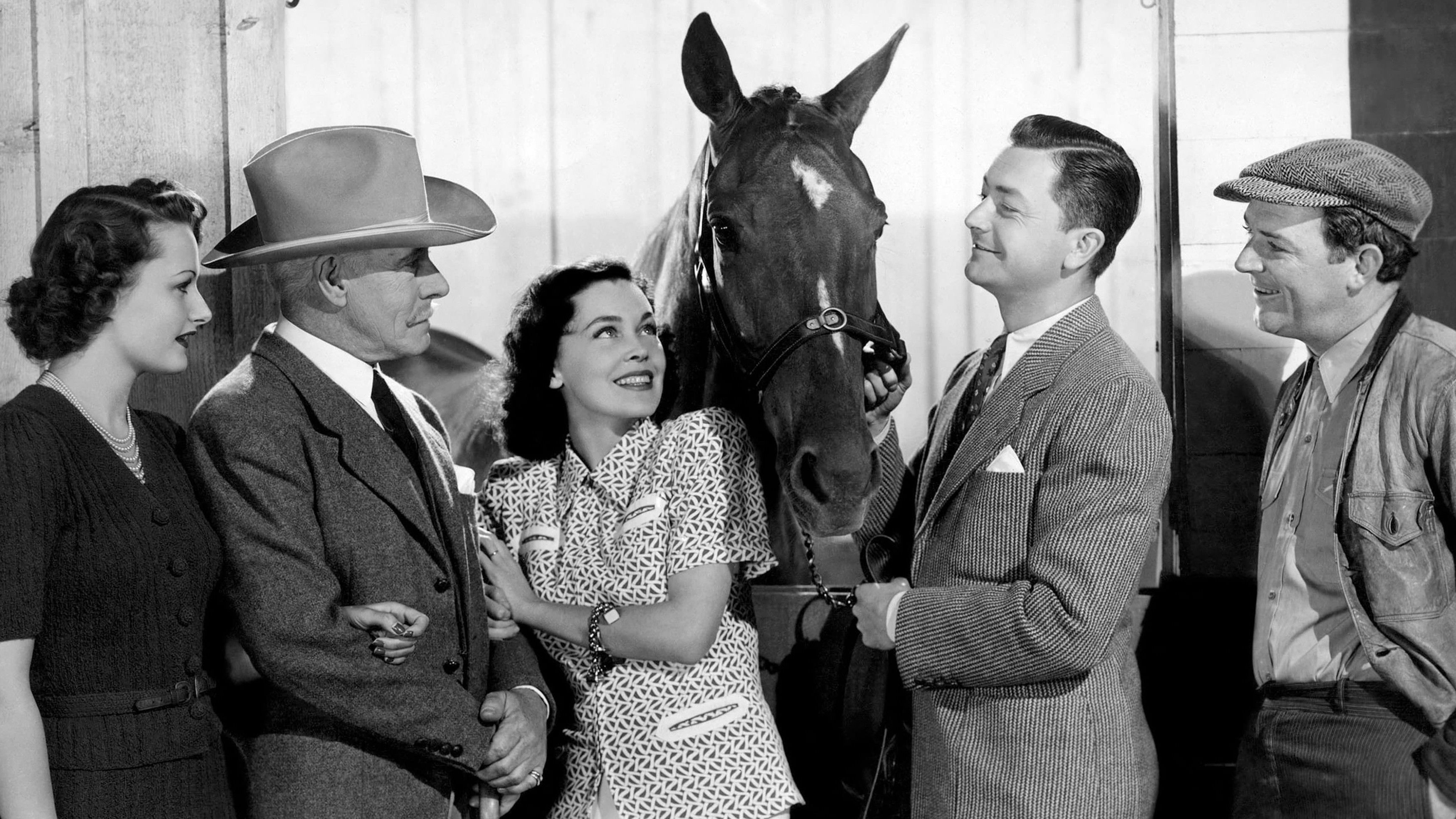 Backdrop for Sporting Blood