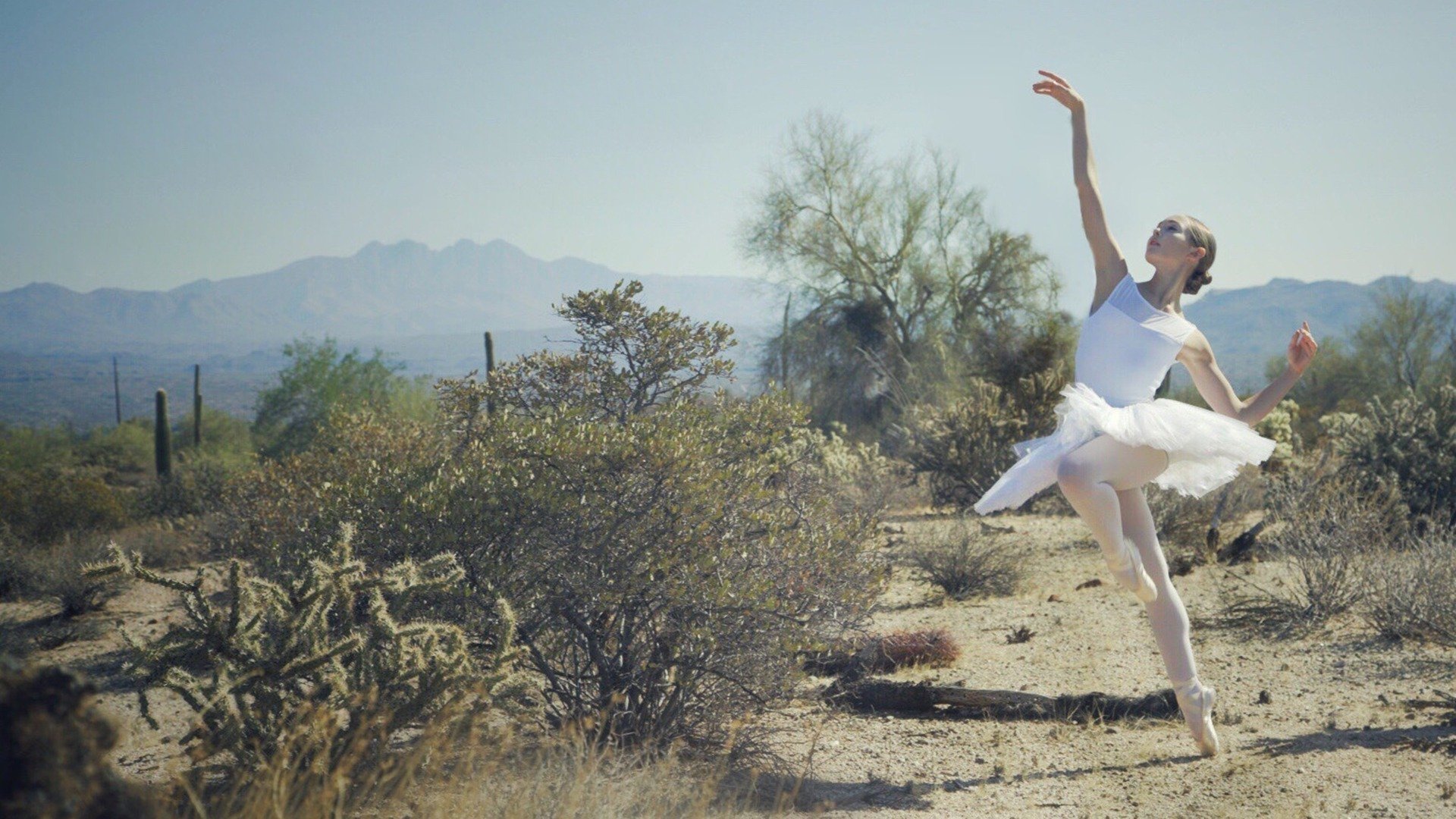 Backdrop for Driven to Dance