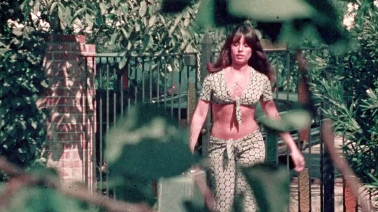 Backdrop for Eye Spy!