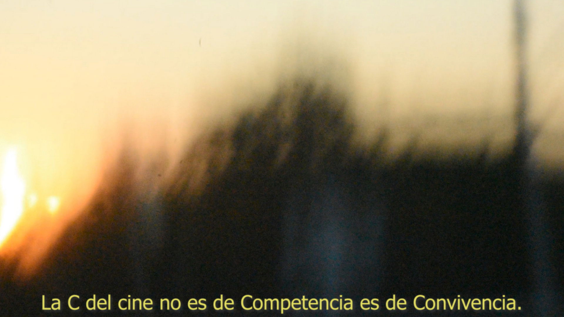 Backdrop for El retratar la vida de Mekas y el retratarse en la vida de Varda