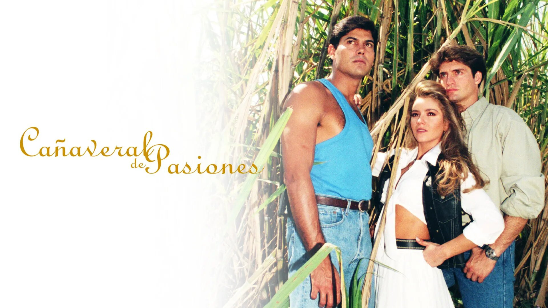 Backdrop for Cañaveral de Pasiones