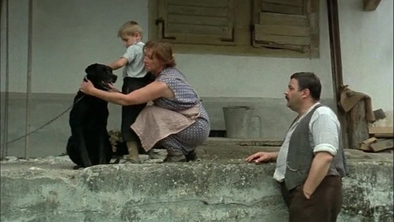 Backdrop for The Boat Is Full