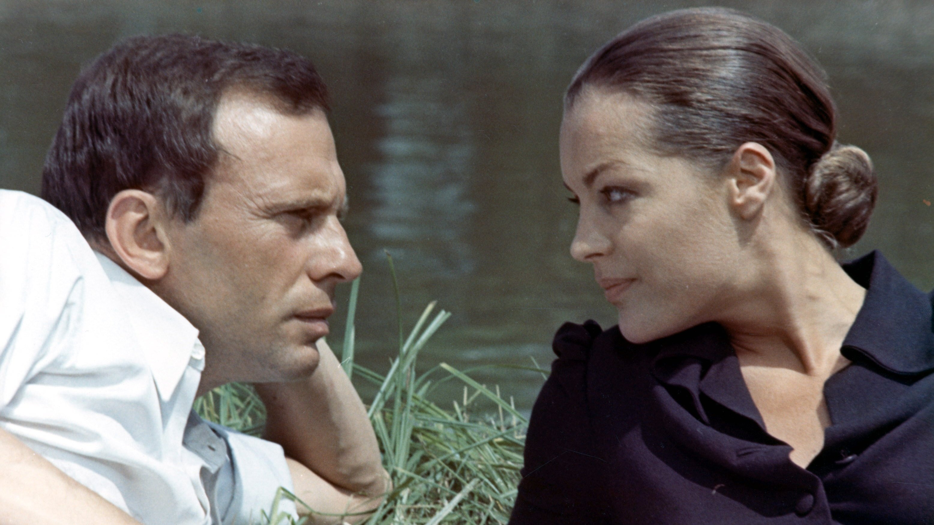 Backdrop for The Last Train