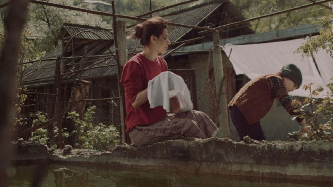 Backdrop for Coming Home