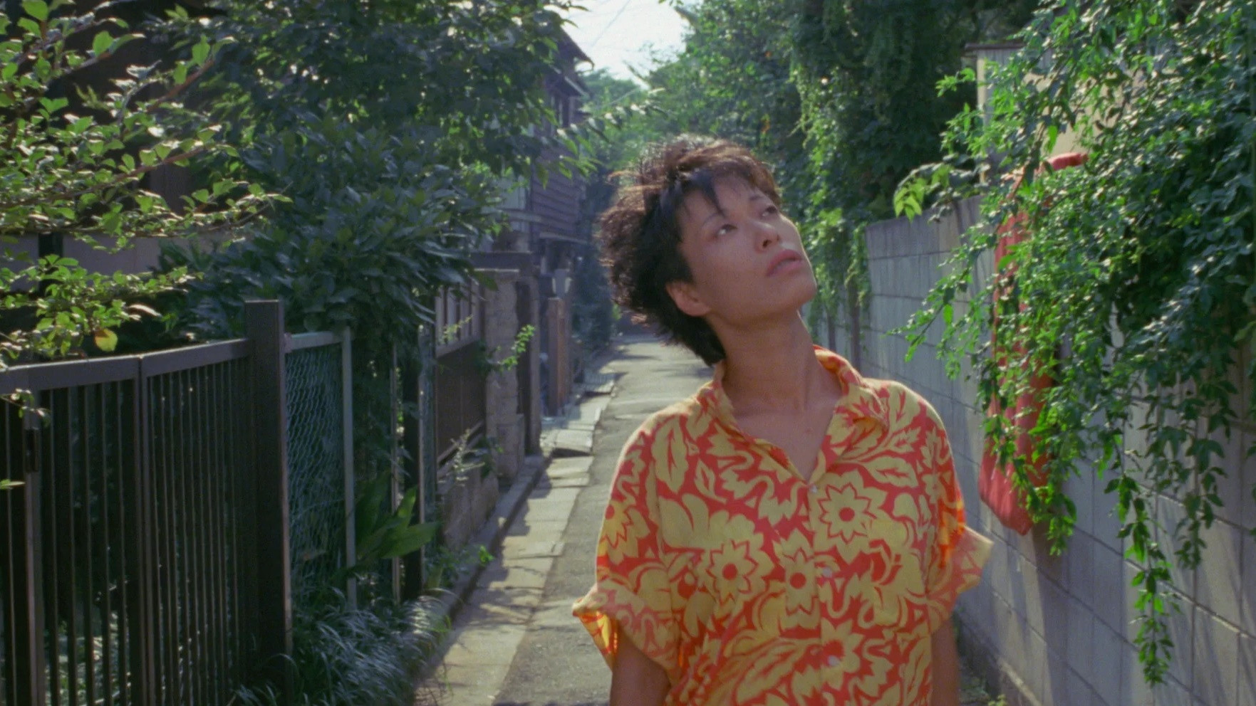 Backdrop for Robinson's Garden