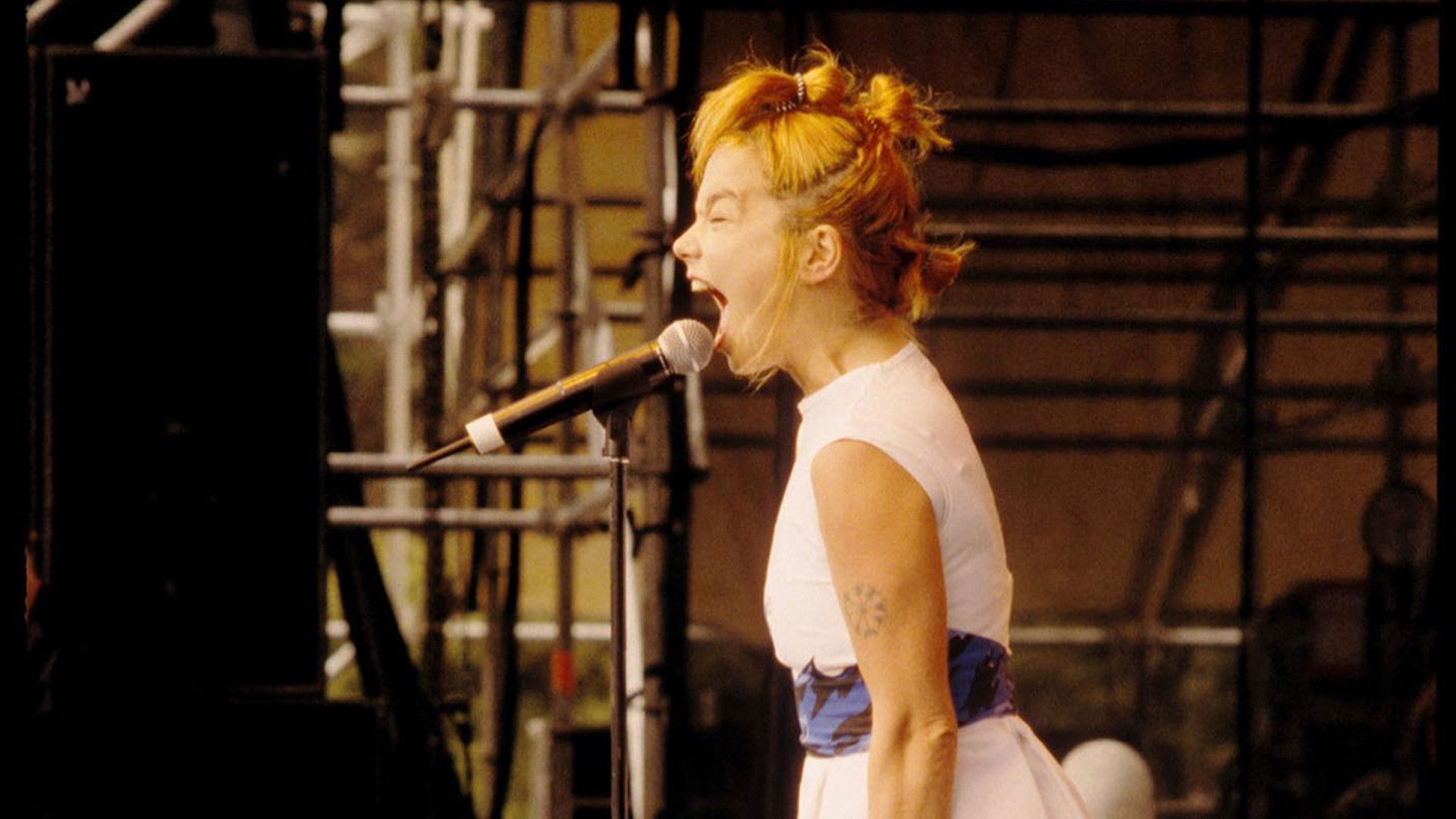 Backdrop for Björk: Tibetan Freedom Concert