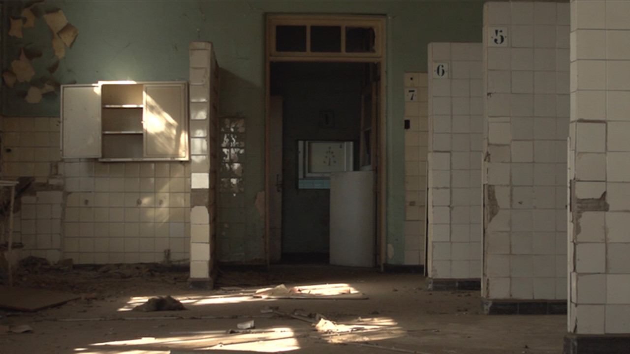 Backdrop for Memorándum