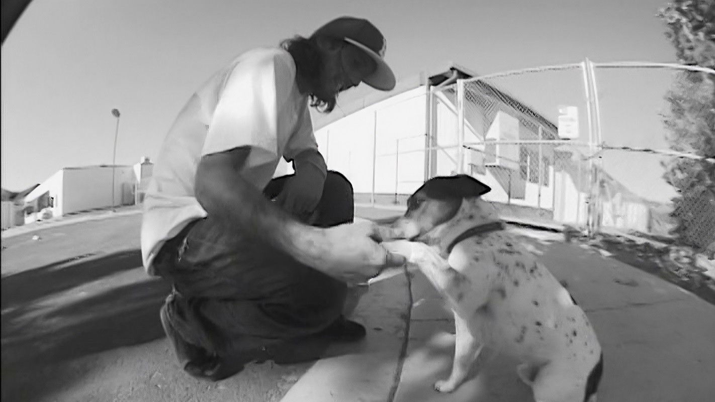 Backdrop for Mystery - Black & White