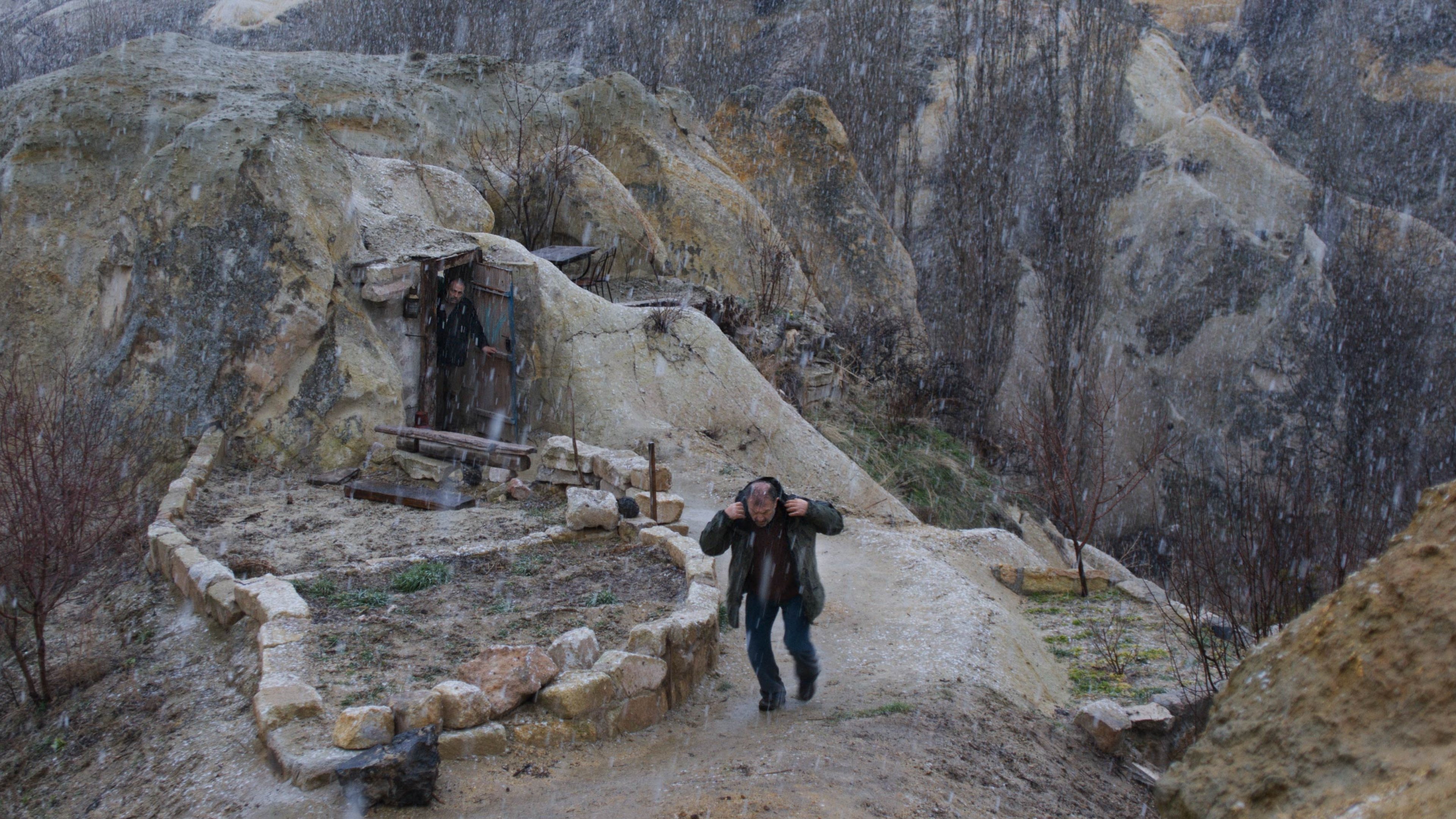 Backdrop for Winter Sleep