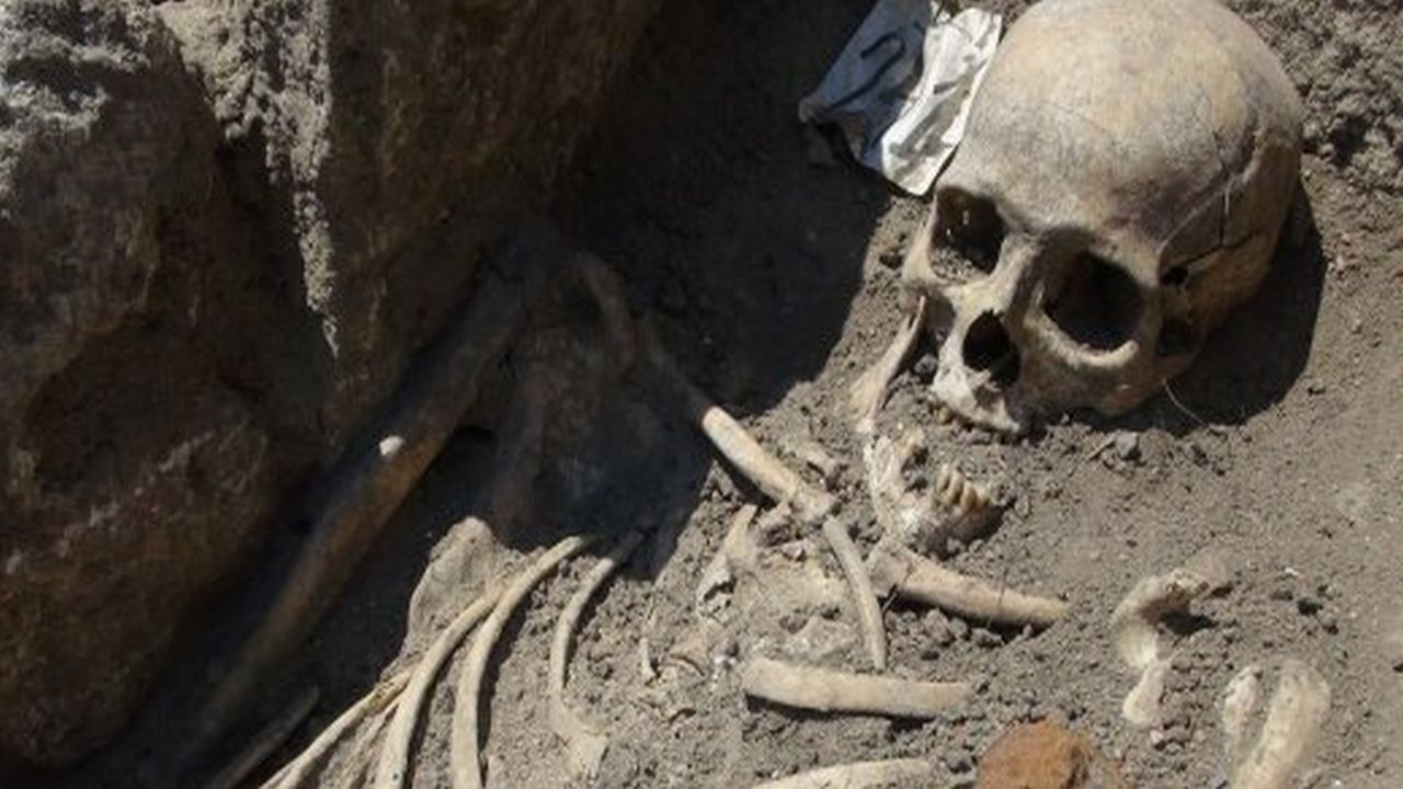 Backdrop for Die Vampirleiche von Venedig