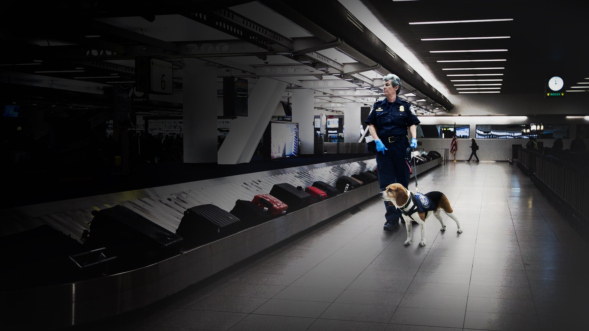 Backdrop for To Catch a Smuggler