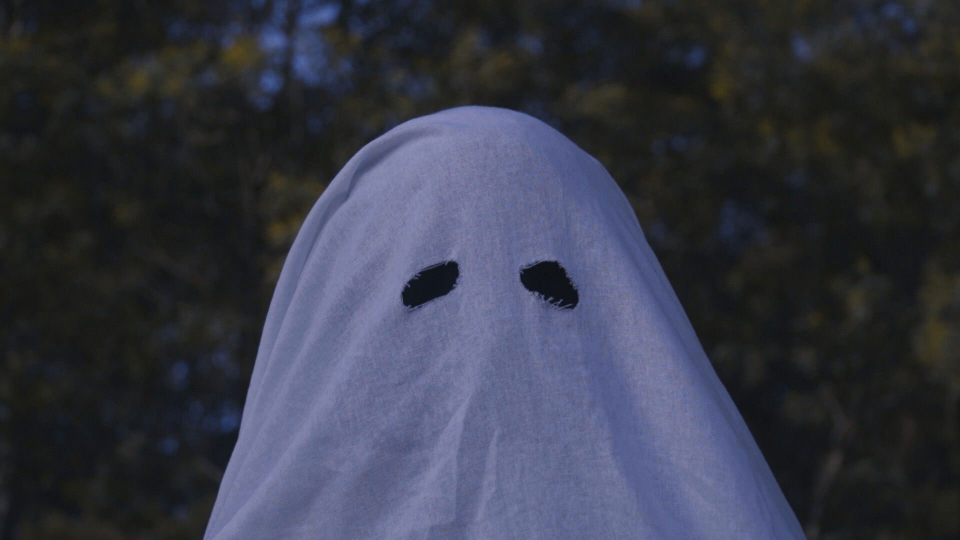 Backdrop for Haunting