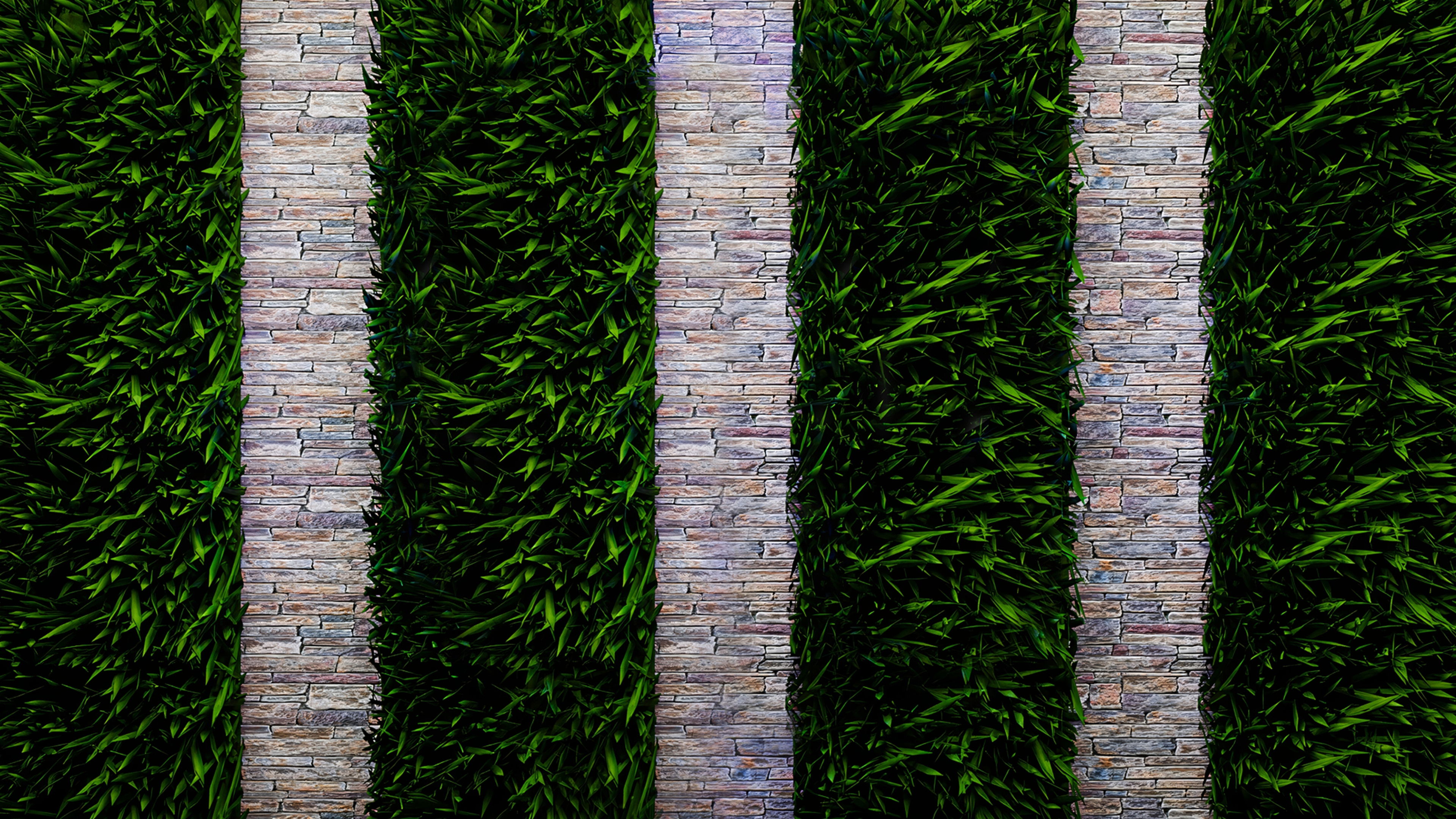 Backdrop for The Elle Duncan Show