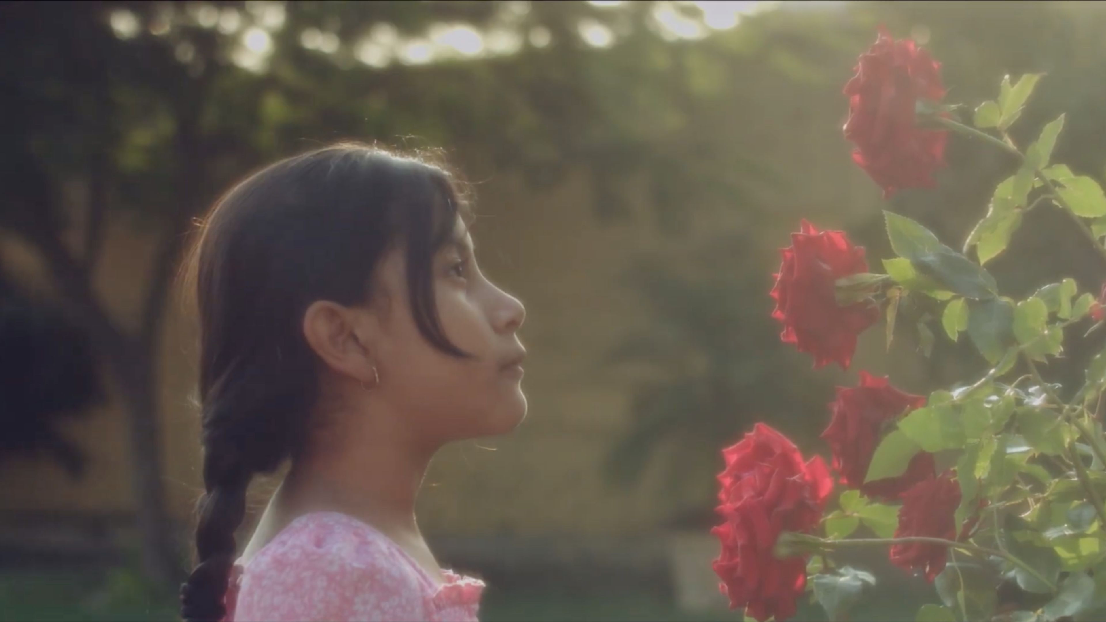 Backdrop for The Good Being