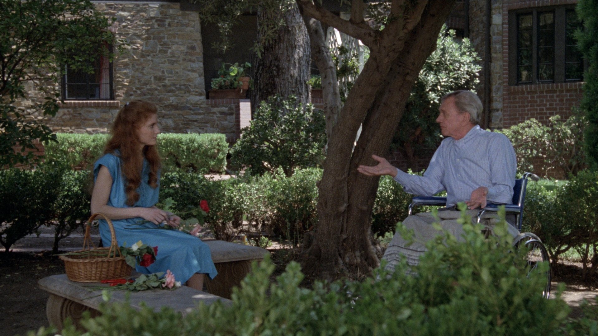 Backdrop for Delusion