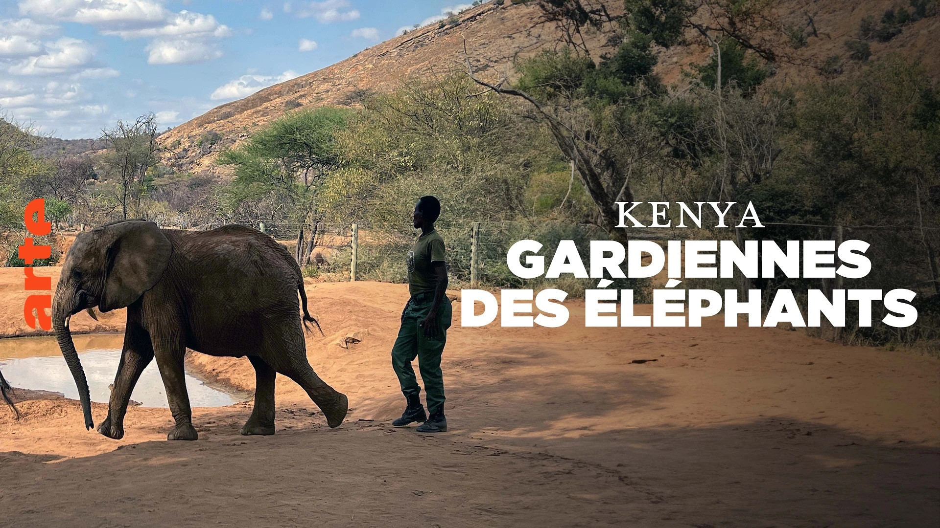 Backdrop for Kenya - Gardiennes des éléphants