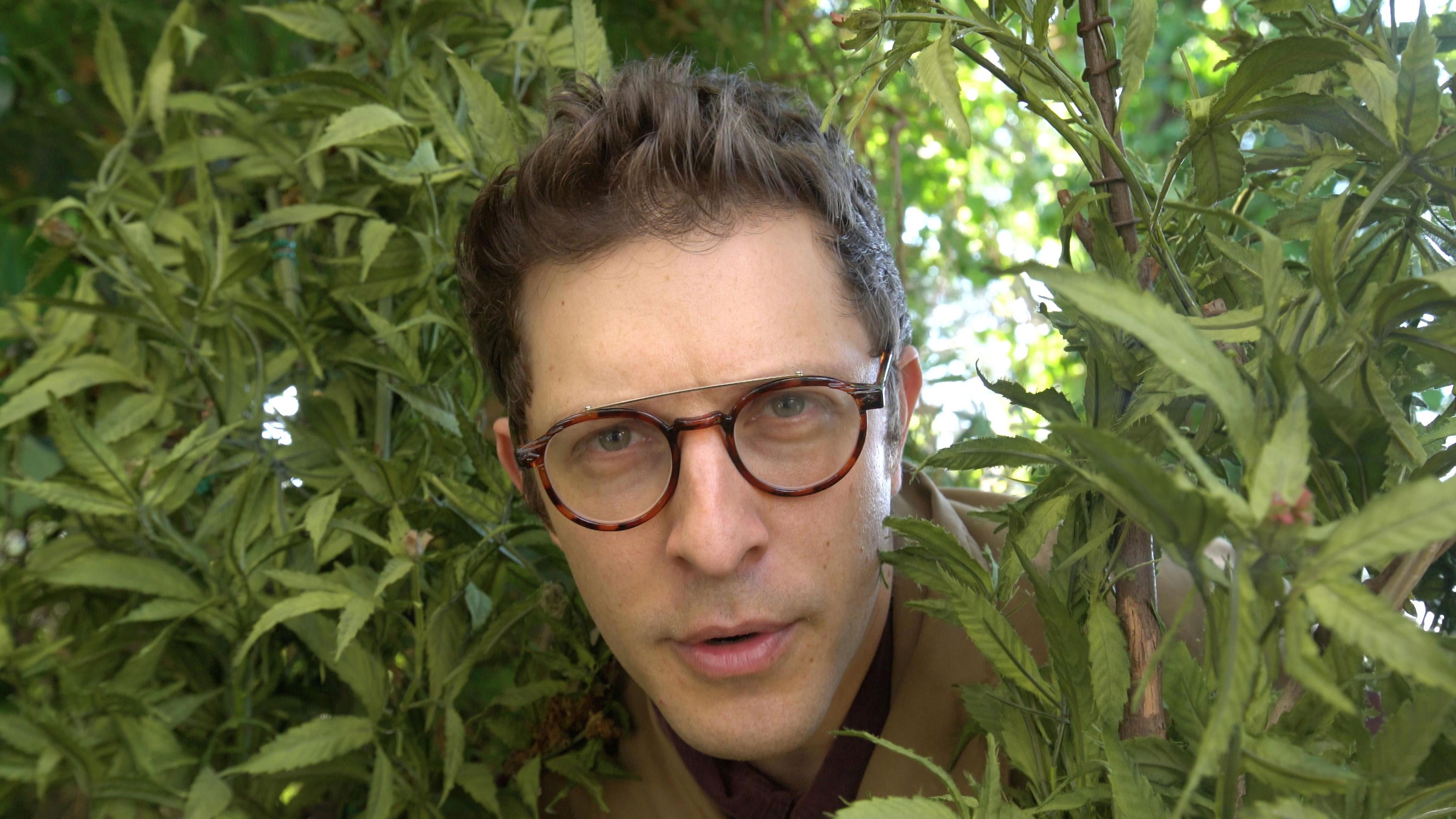 Backdrop for Dope State