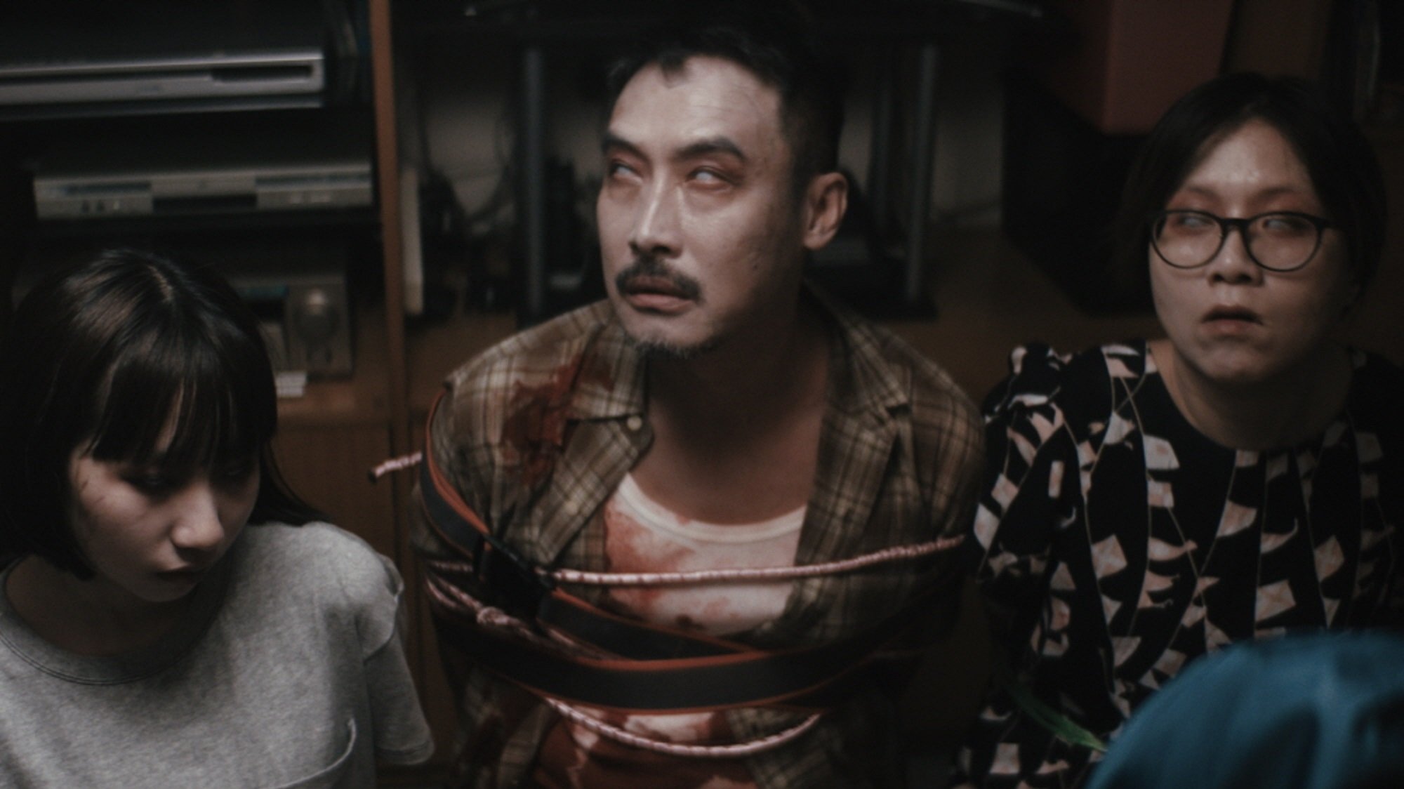 Backdrop for Zombies in the House