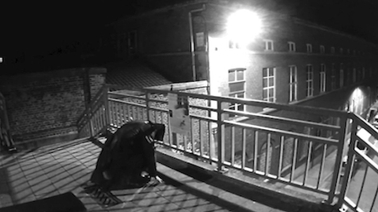 Backdrop for The Nightstalker Case