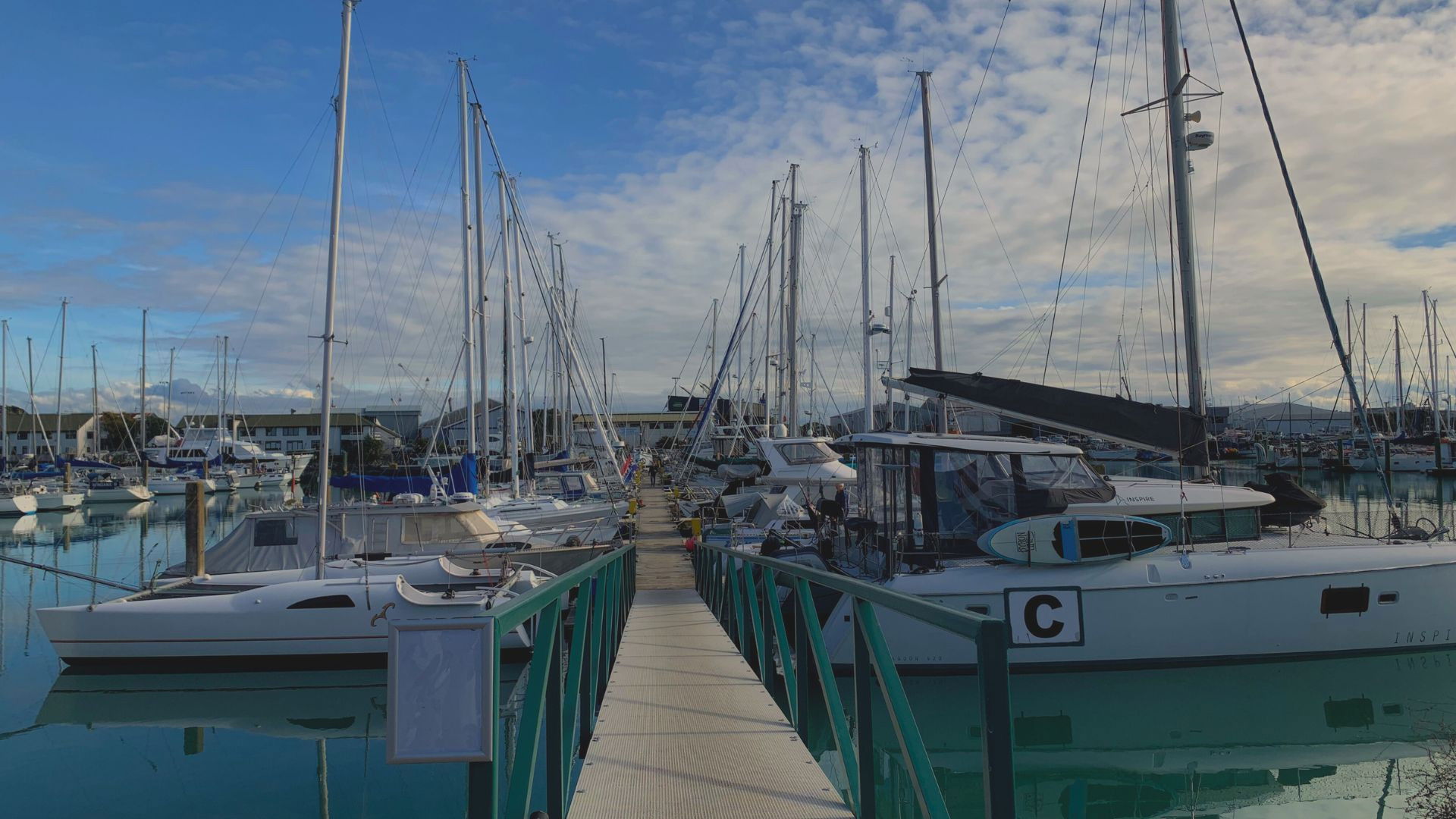 Backdrop for Amy John & Jiu Jitsu Dave