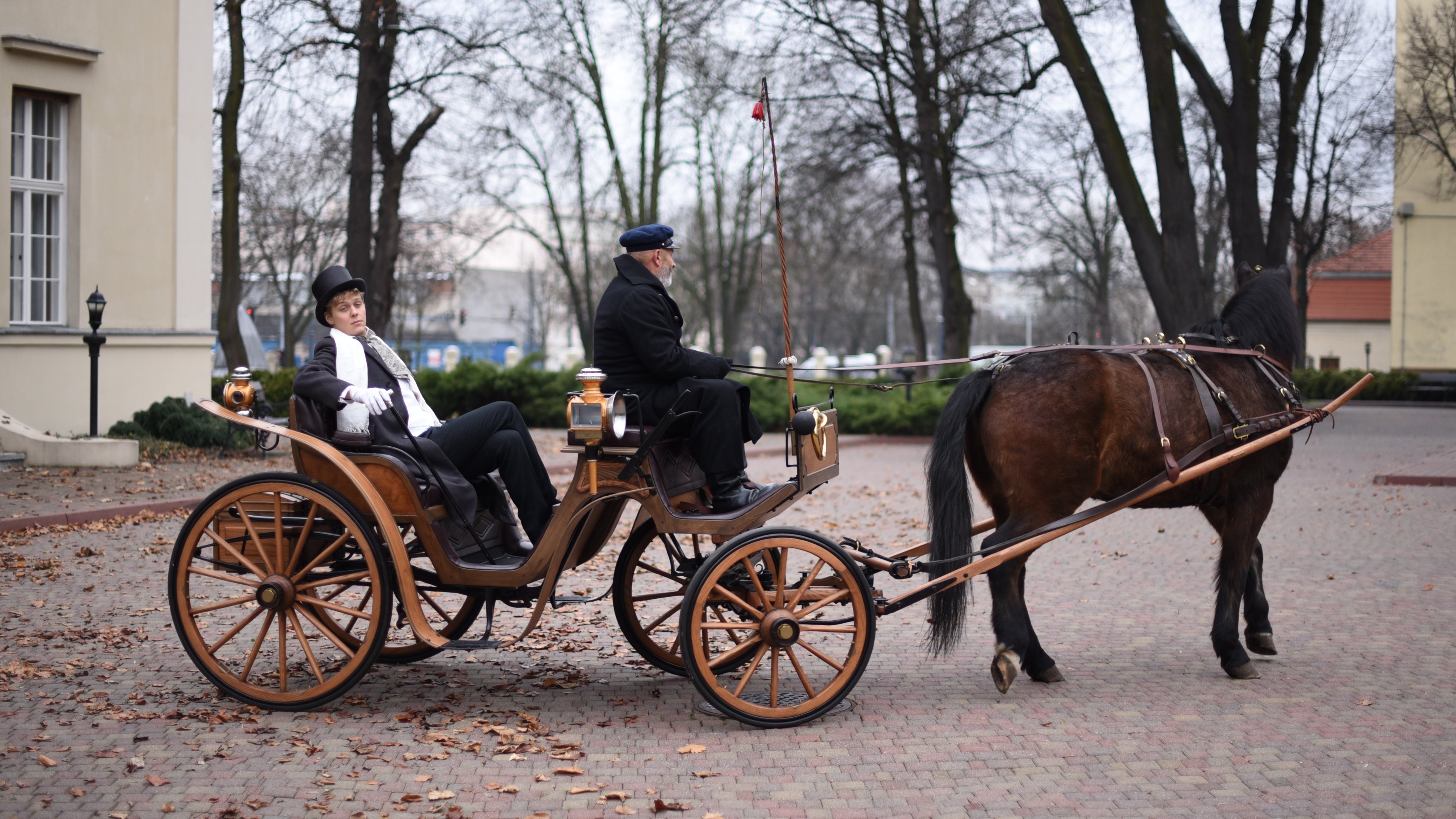 Backdrop for Return of the Reveller