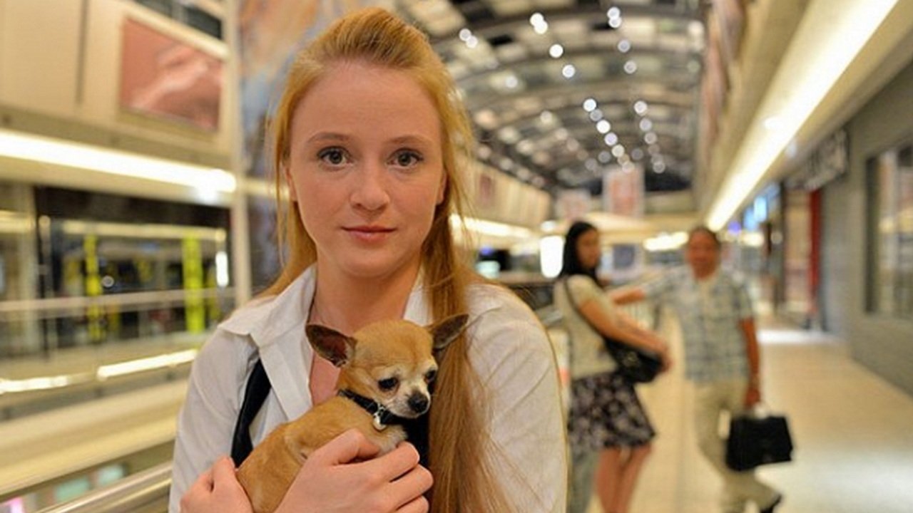 Backdrop for Definice lásky