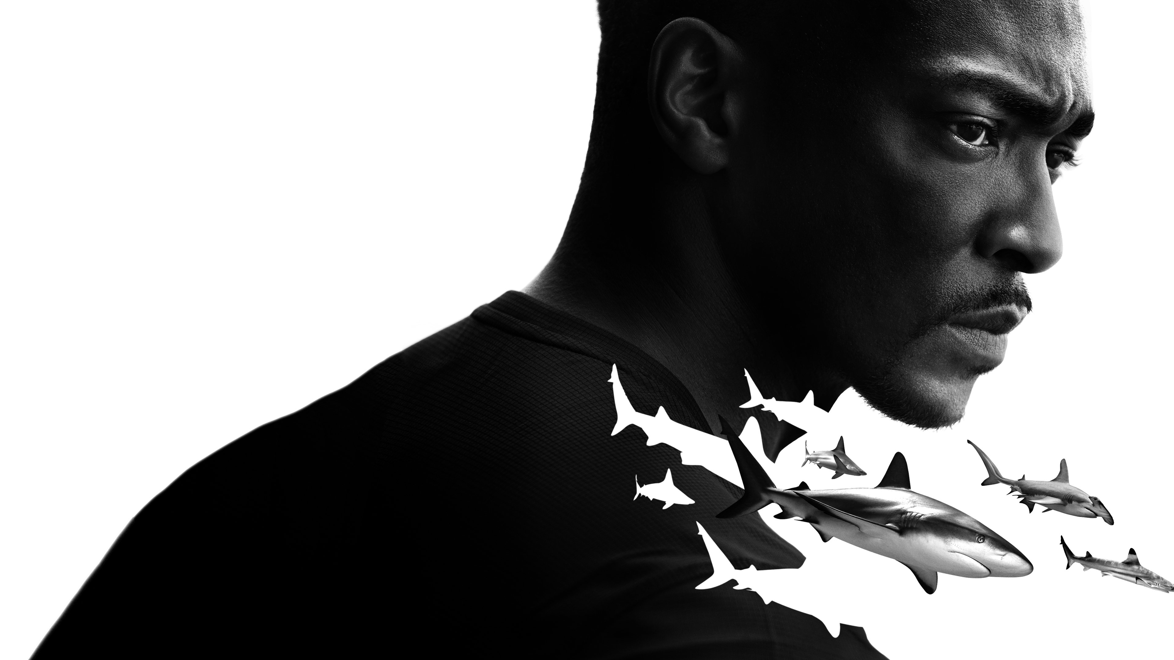 Backdrop for Shark Beach with Anthony Mackie