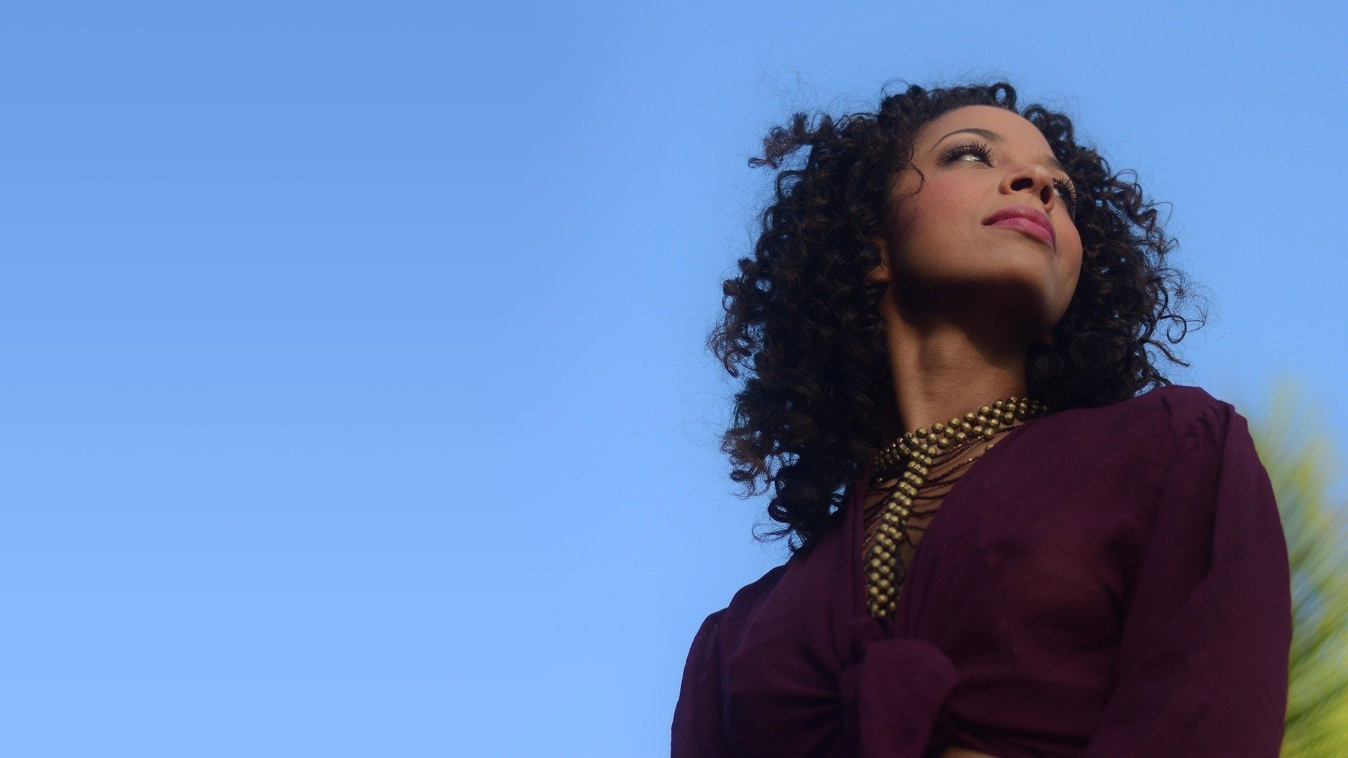 Backdrop for Rio de Topless