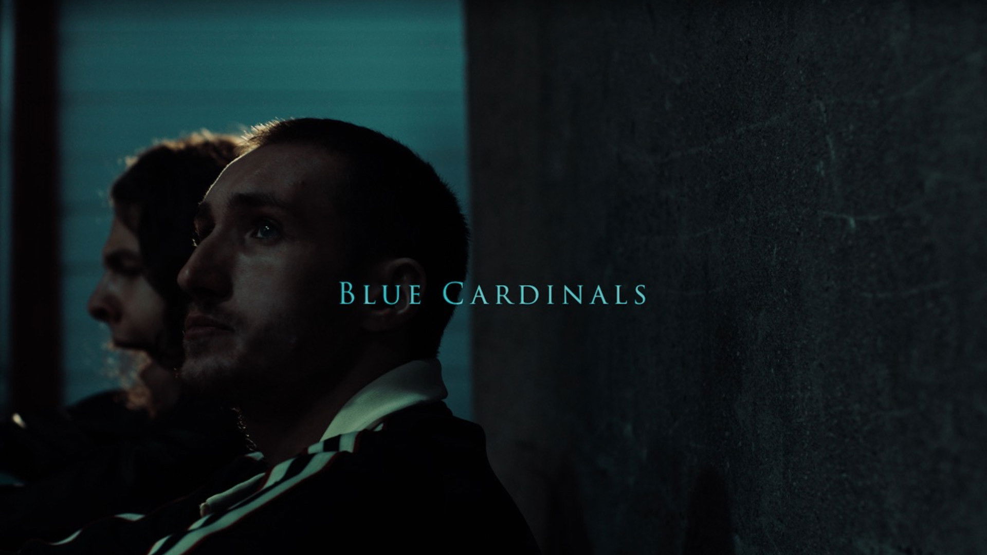 Backdrop for Blue Cardinals