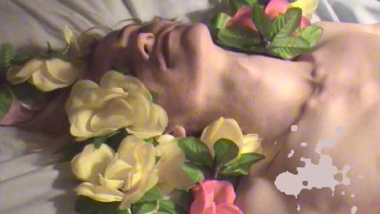 Backdrop for Tickled Pink