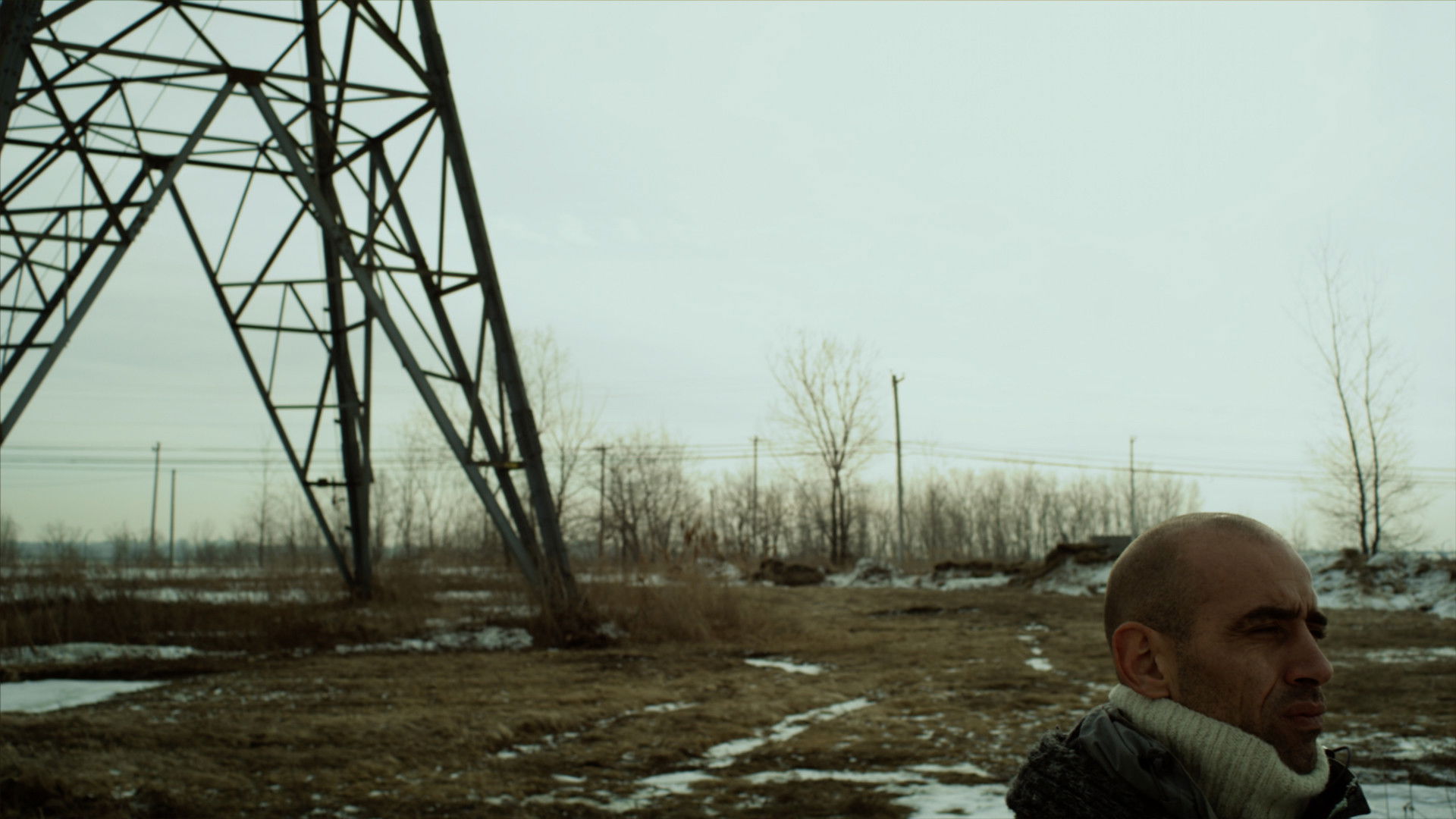 Backdrop for The Winter's Keeper