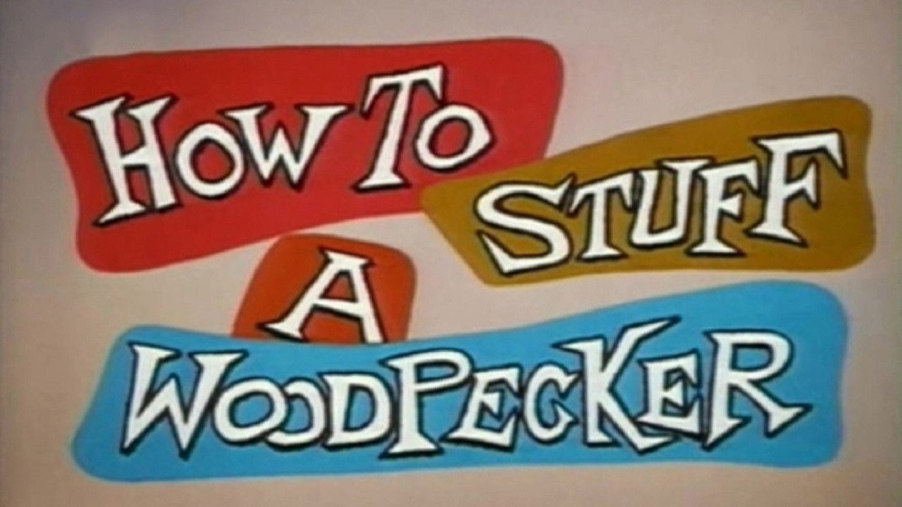 Backdrop for How to Stuff a Woodpecker