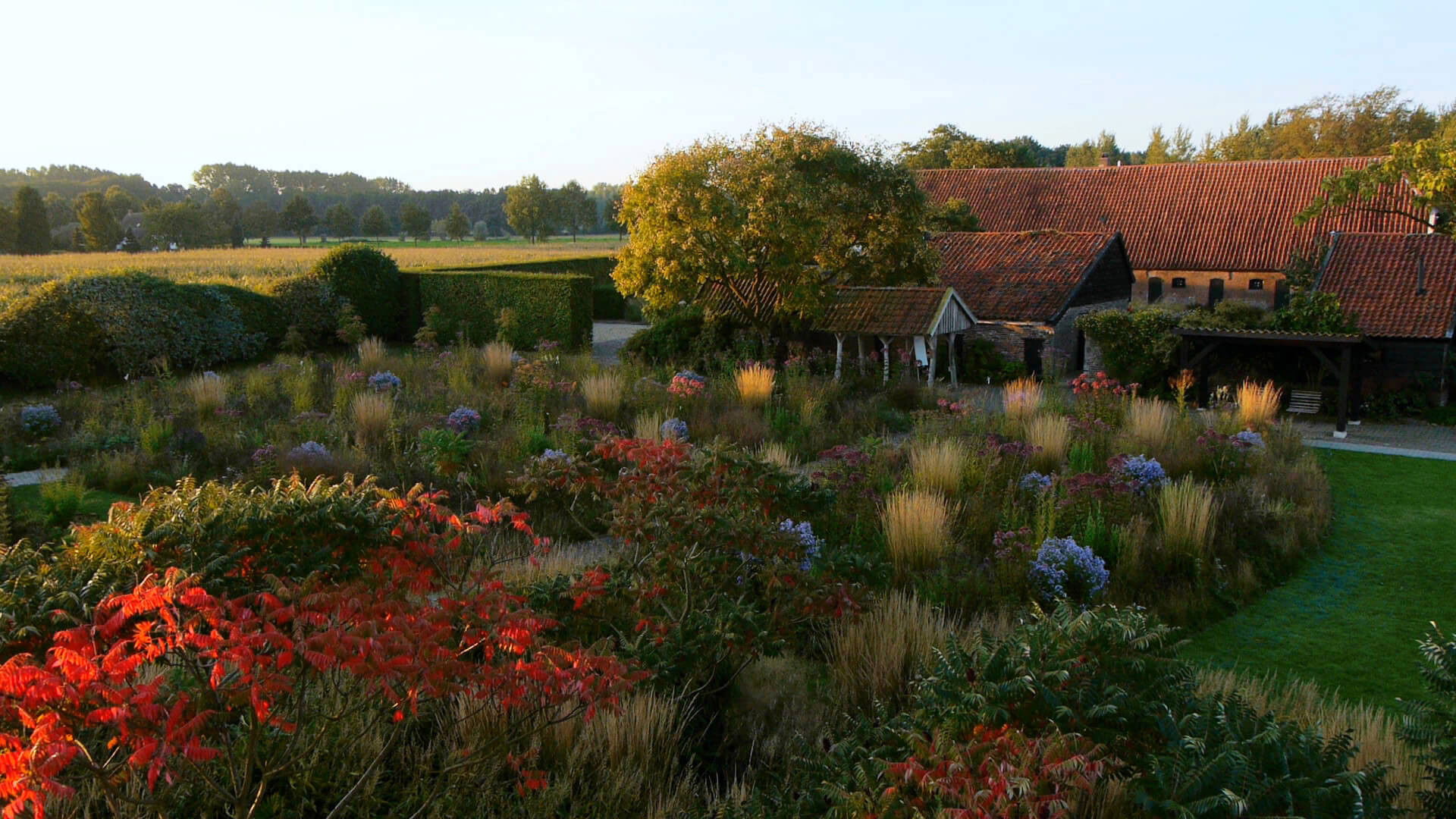 Backdrop for Five Seasons: The Gardens of Piet Oudolf