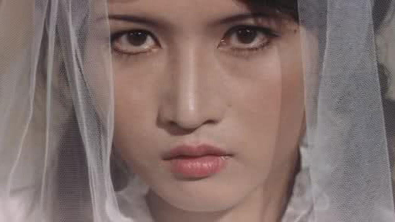 Backdrop for Midnight Fairy