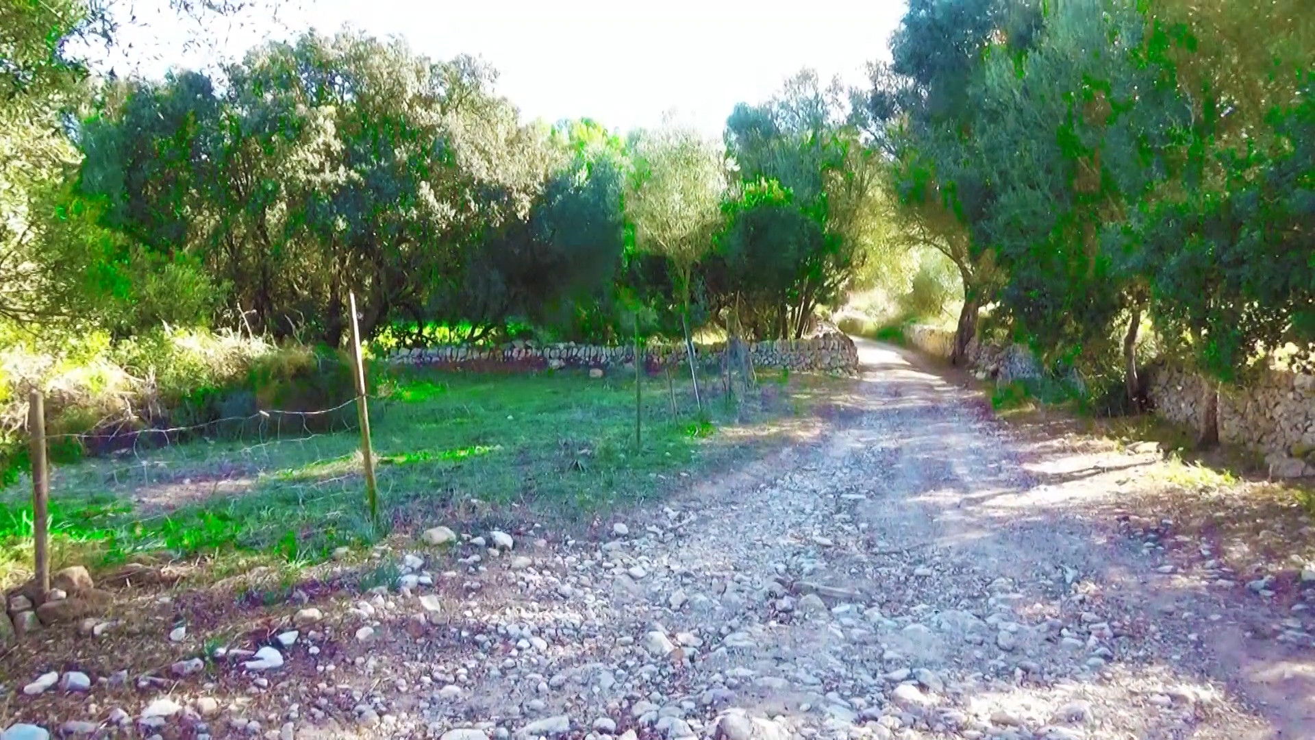 Backdrop for Es quizás