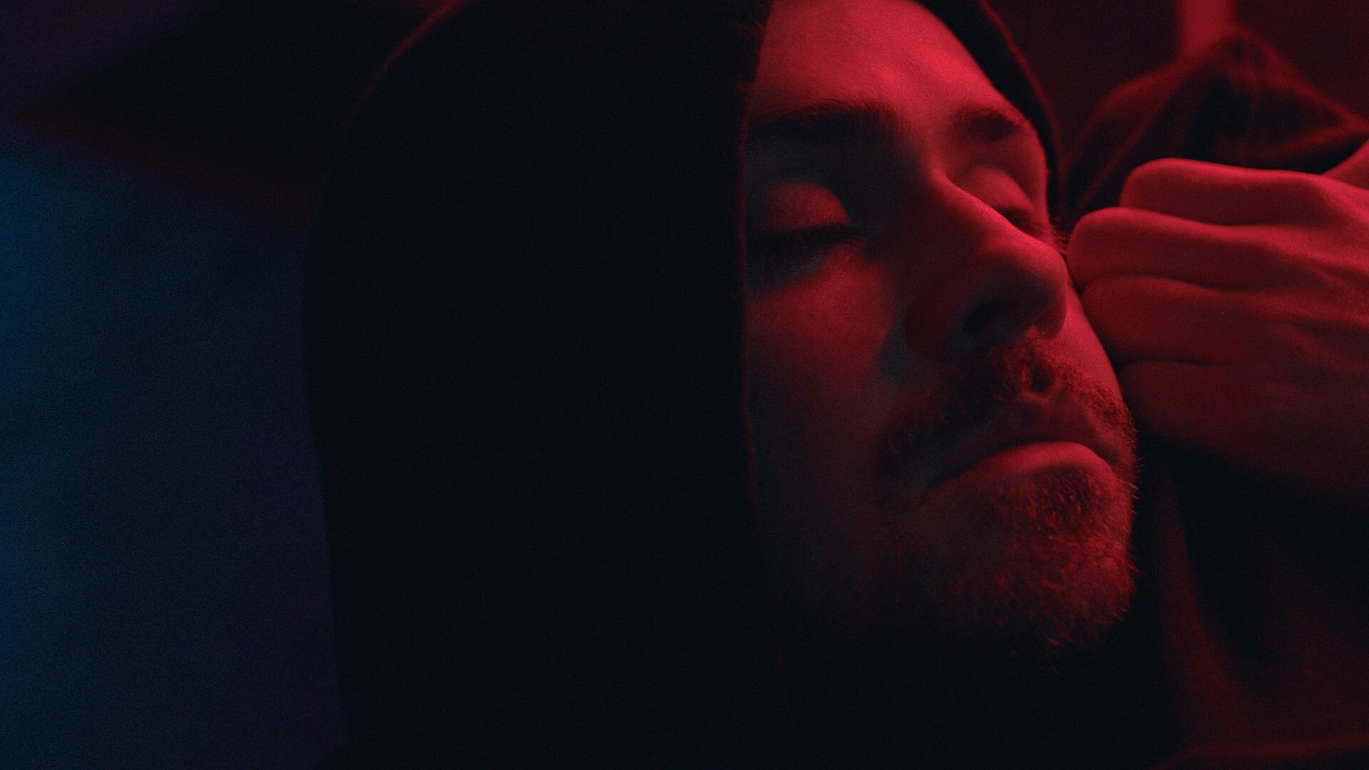 Backdrop for Guilty Creatures