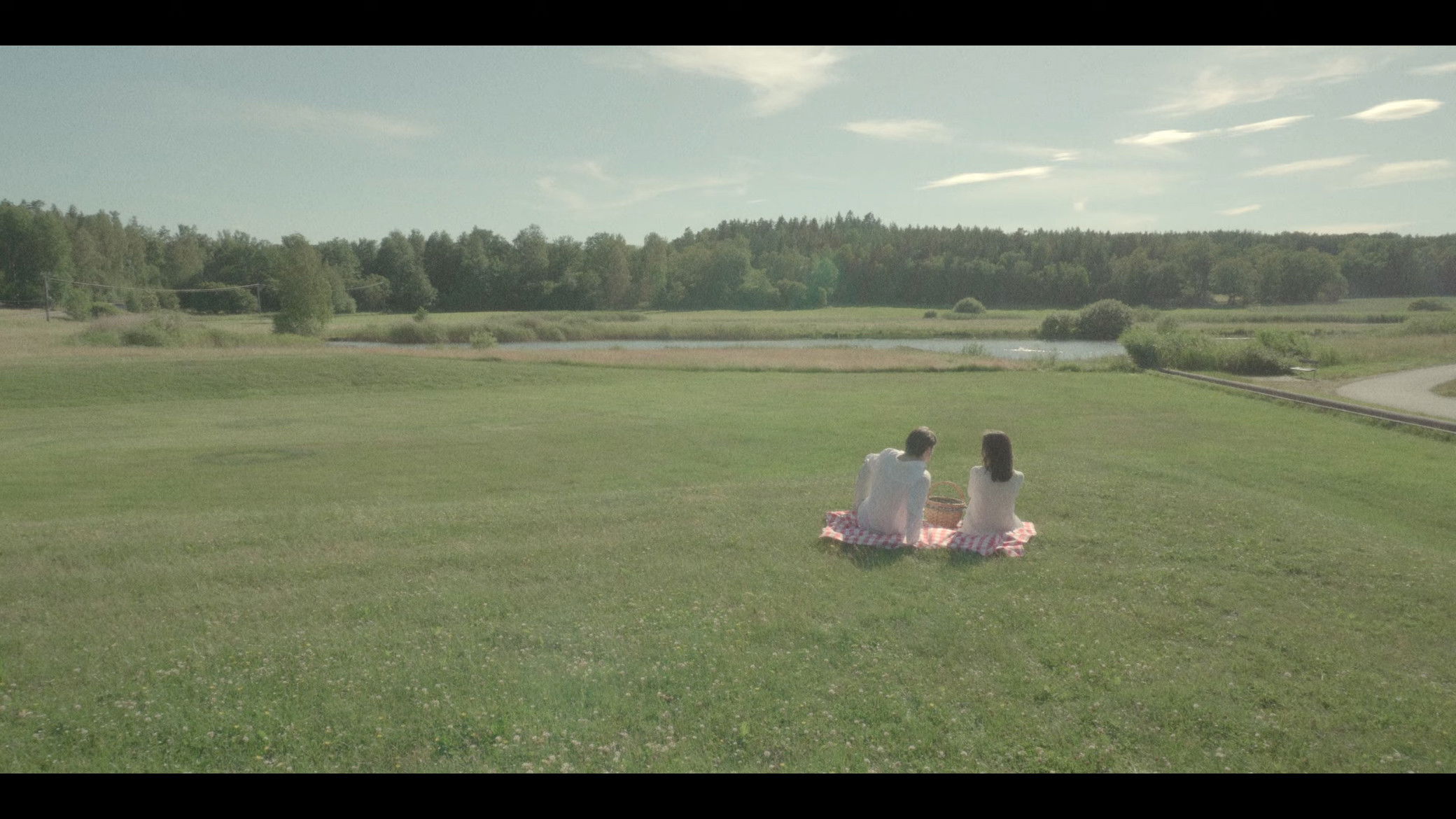 Backdrop for A Summer Story